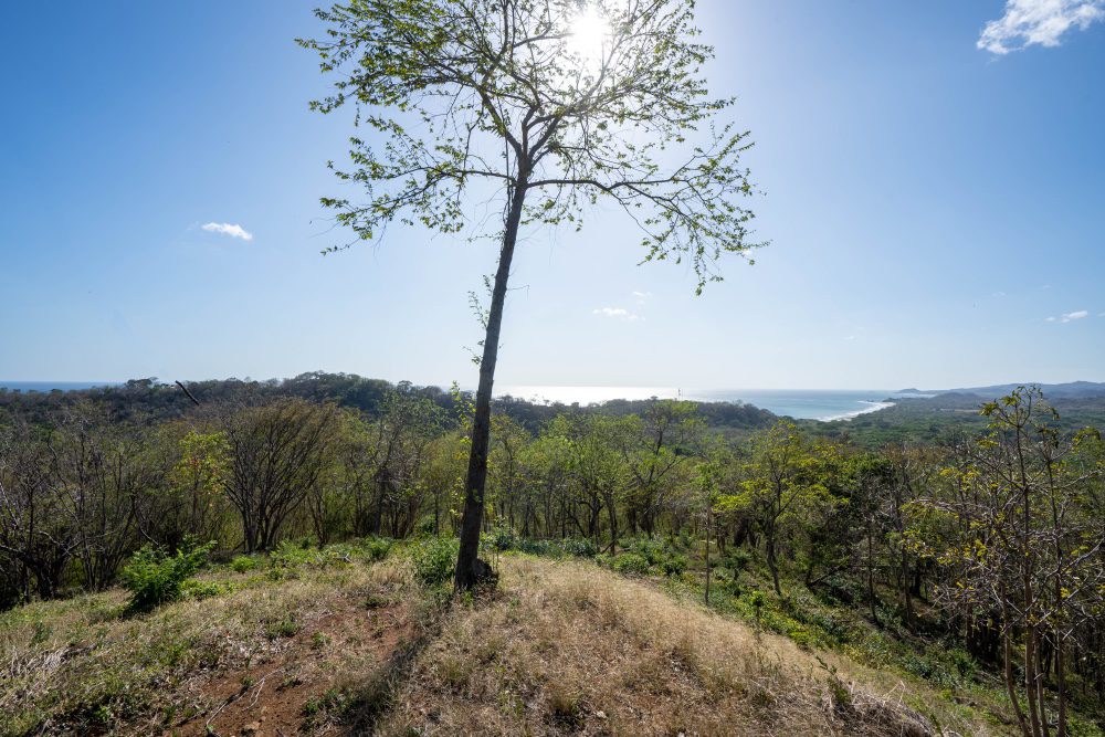 http://ocean%20view%20lot%20O18%20in%20Rancho%20Santana