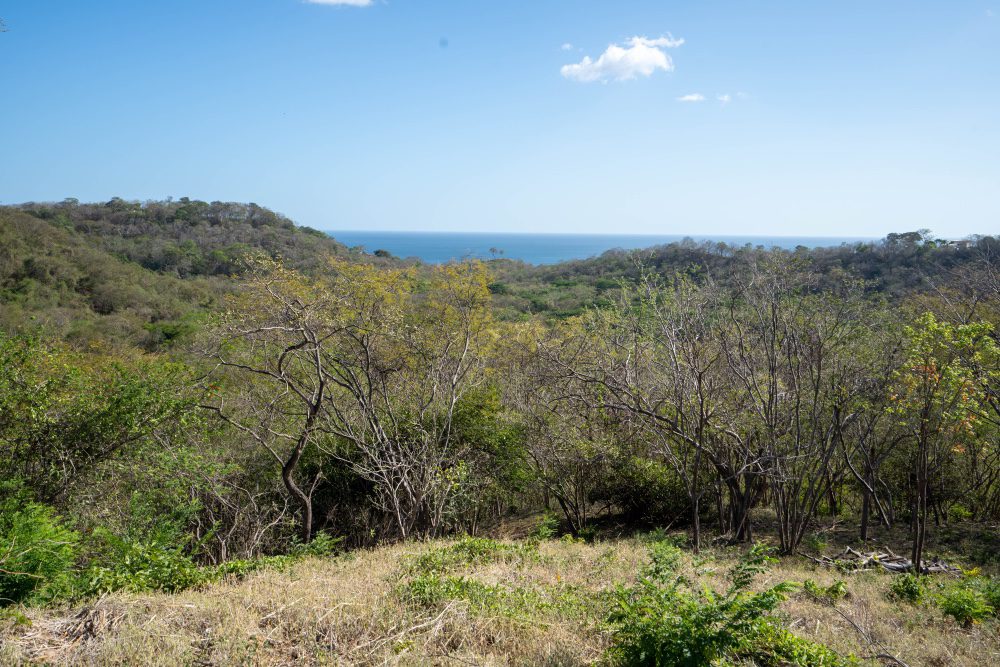 http://ocean%20view%20lot%20O18%20in%20Rancho%20Santana