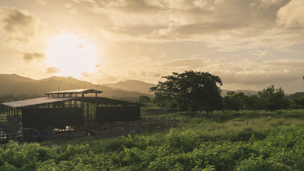 VIEW OF the farm AT RANCHO SANTANA