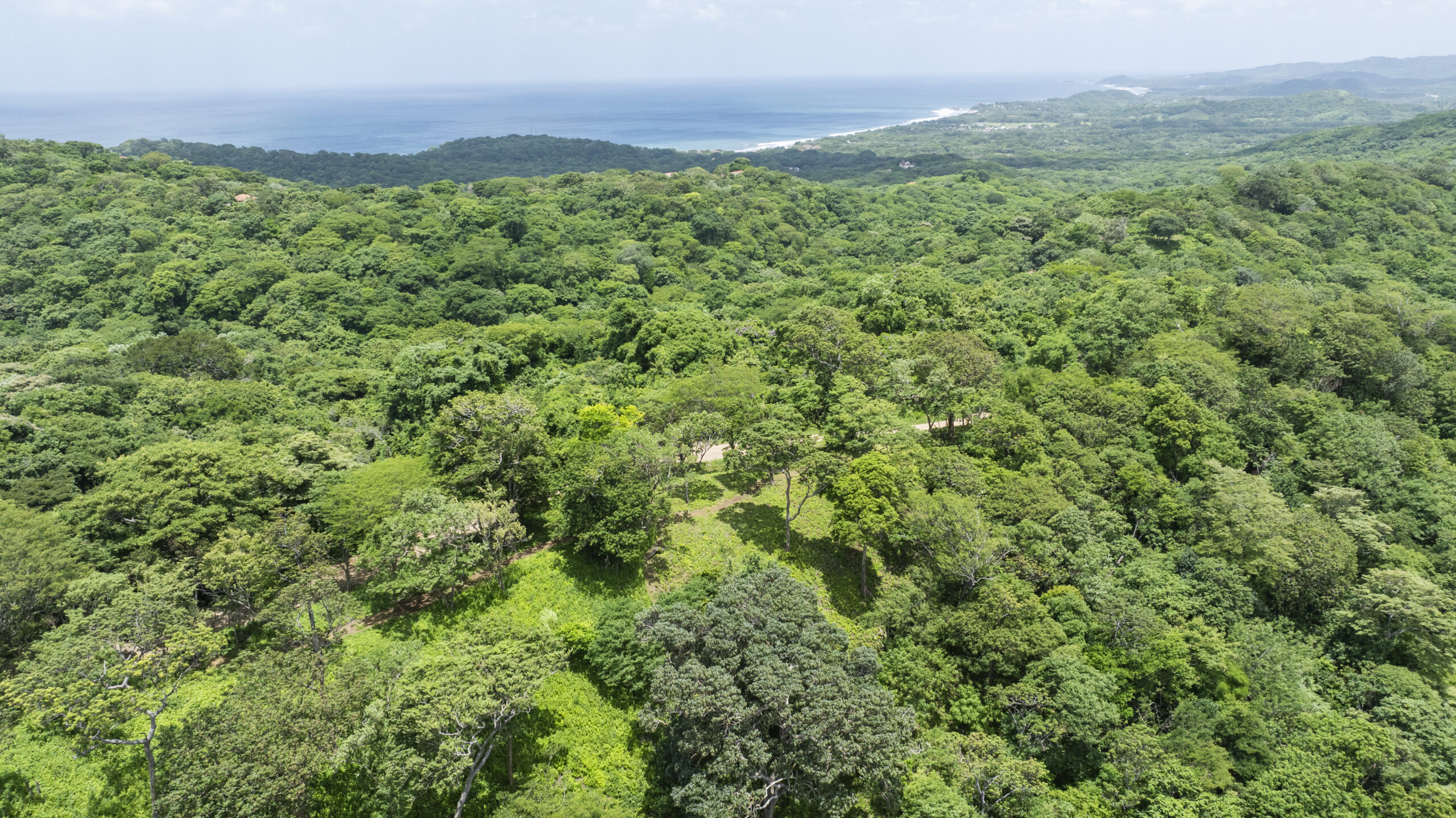 http://Aerial%20view%20of%20a%20lush,%20green%20forest%20stretching%20toward%20the%20coastline,%20with%20the%20blue%20ocean%20visible%20in%20the%20distance%20under%20a%20partly%20cloudy%20sky.