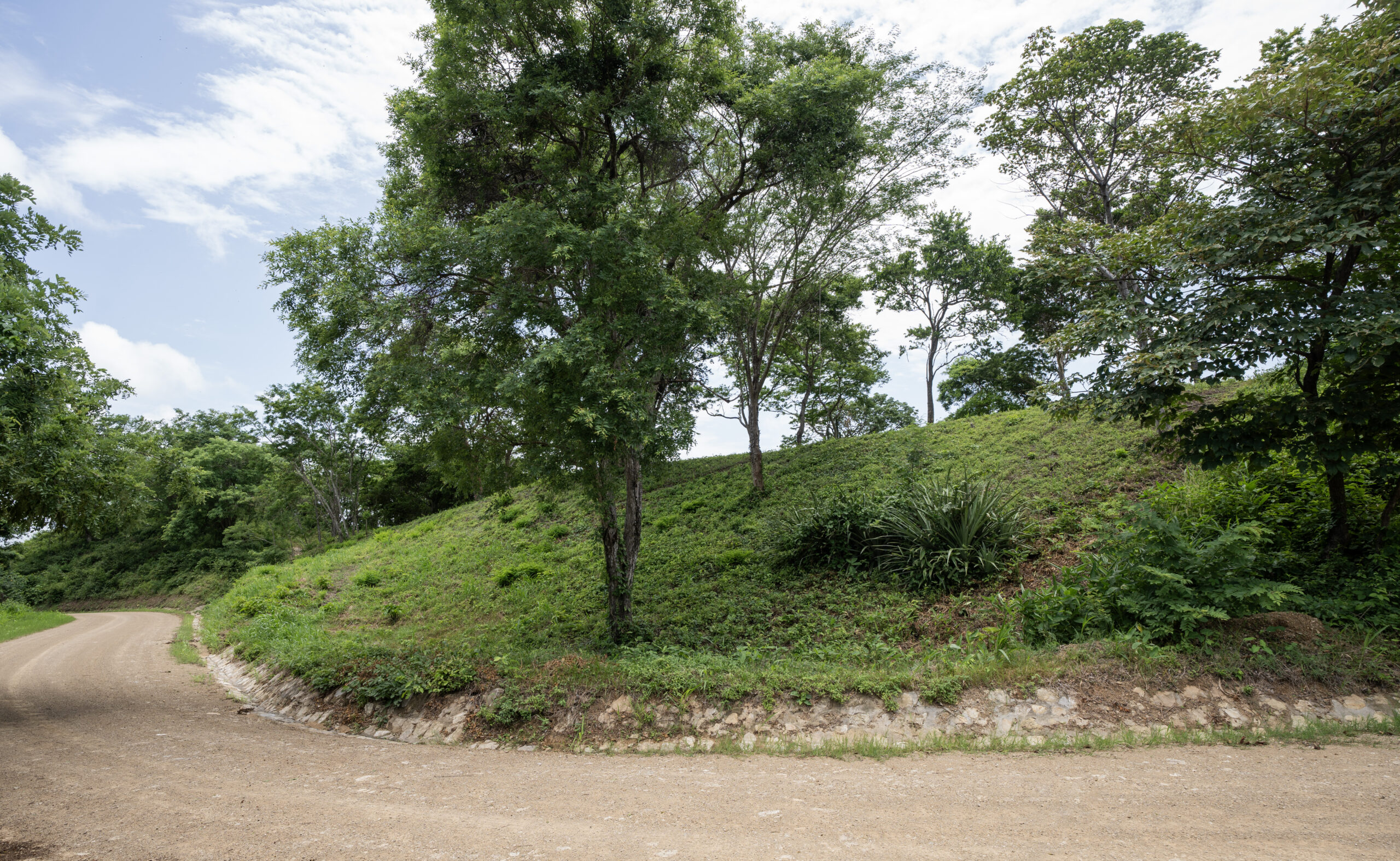 http://A%20dirt%20road%20curves%20alongside%20a%20grassy,%20tree-covered%20hill%20under%20a%20partly%20cloudy%20sky.%20The%20scene%20is%20lush%20and%20green,%20with%20various%20types%20of%20trees%20and%20vegetation.