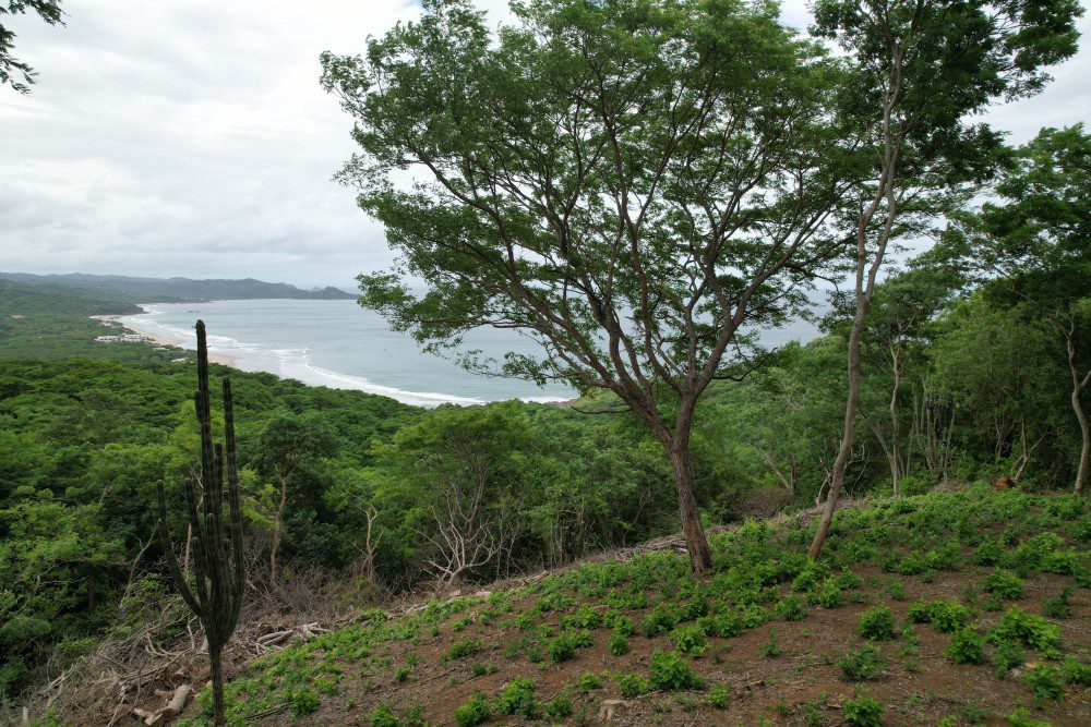http://ocean%20view%20lot%20LP24%20in%20rancho%20santana