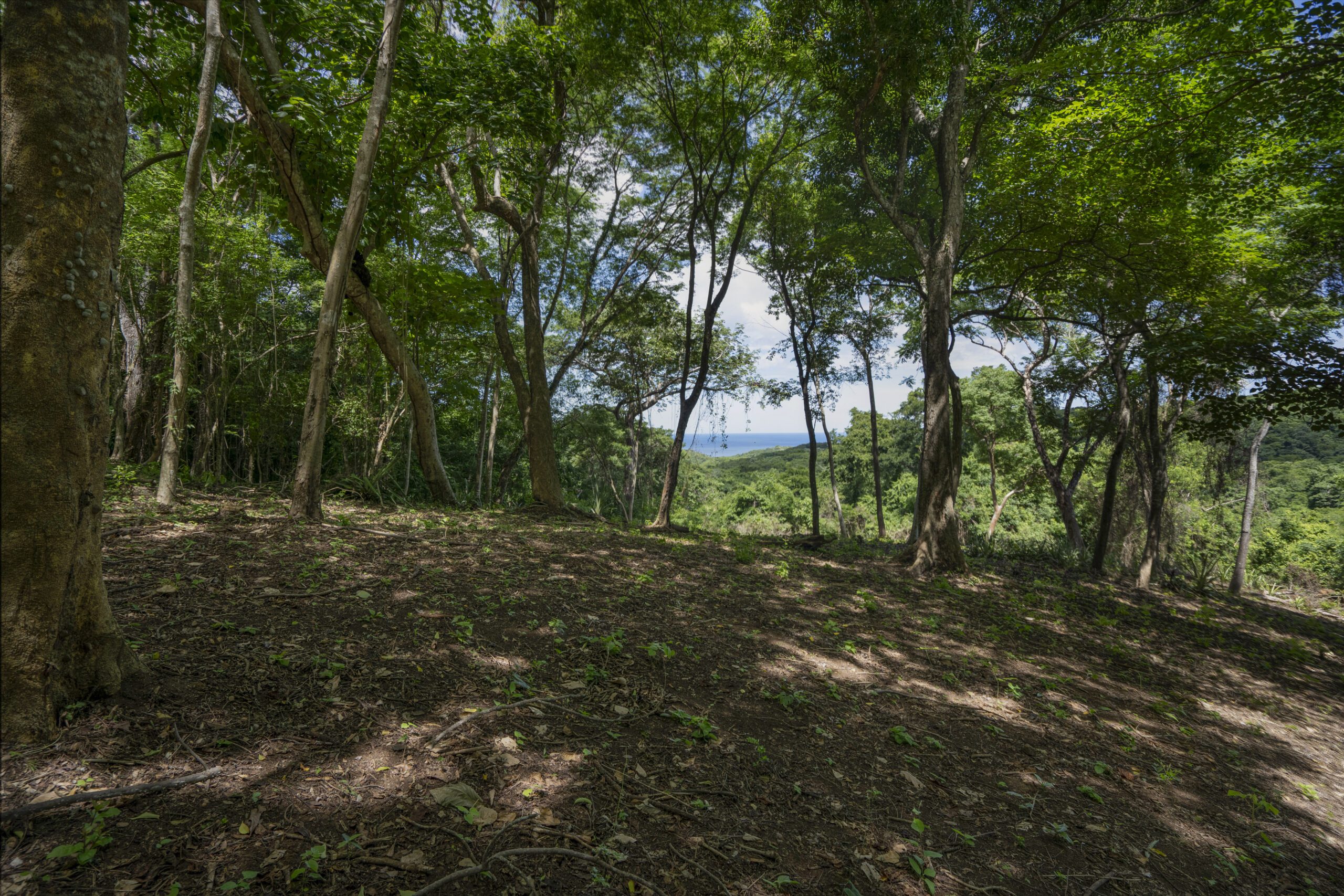 http://ocean%20view%20lot%20W11%20for%20sale%20at%20Rancho%20Santana