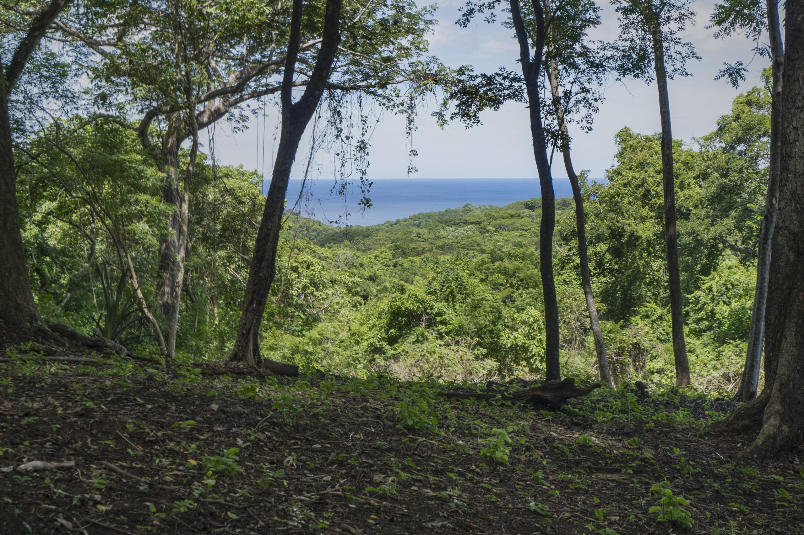 http://ocean%20view%20lot%20W11%20for%20sale%20at%20Rancho%20Santana