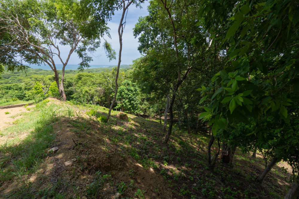 http://ocean%20view%20lot%20for%20sale%20N17%20at%20Rancho%20Santana
