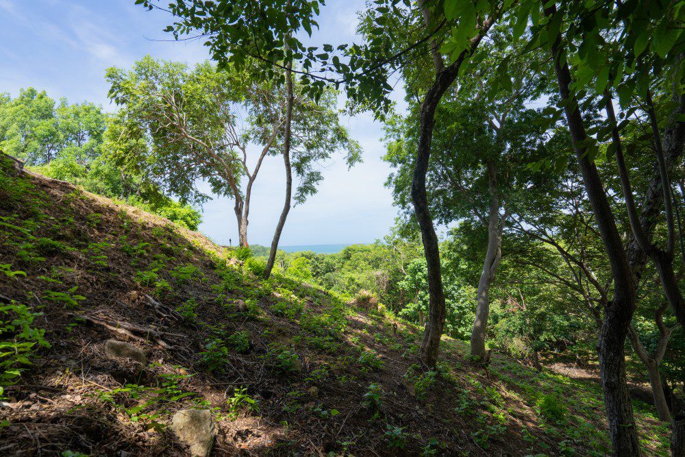 http://ocean%20view%20lot%20for%20sale%20N17%20at%20Rancho%20Santana