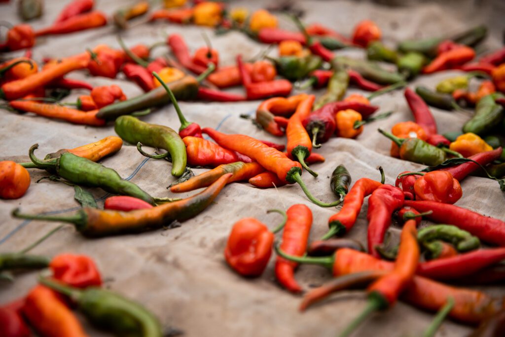 A close-up shot of peppers grown in Nicaragua.