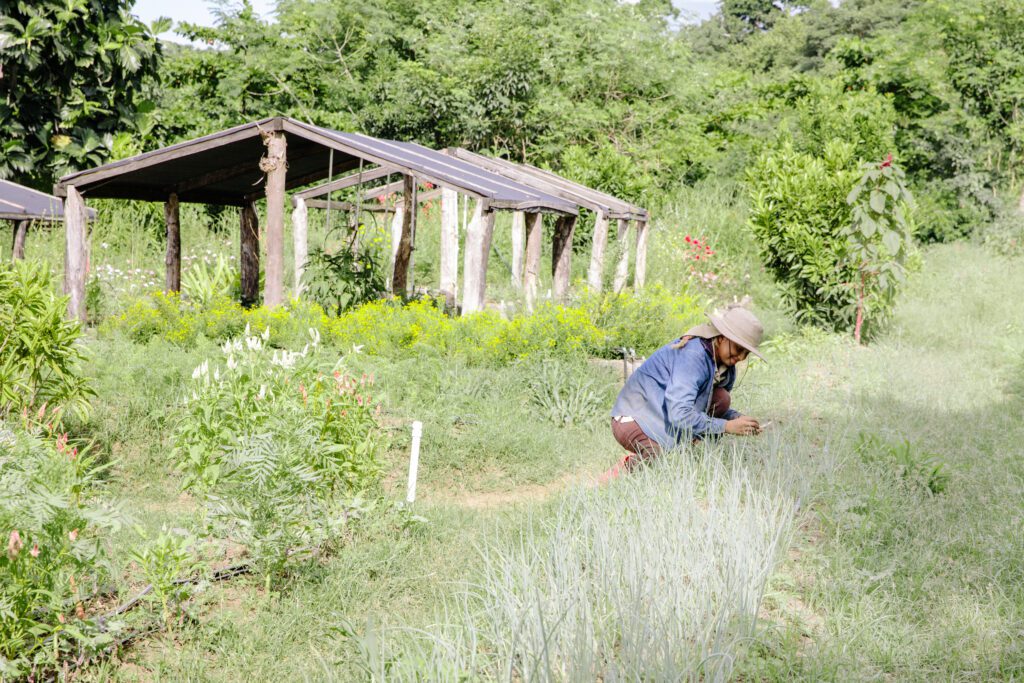 Local farmer working in Nicaragua.
