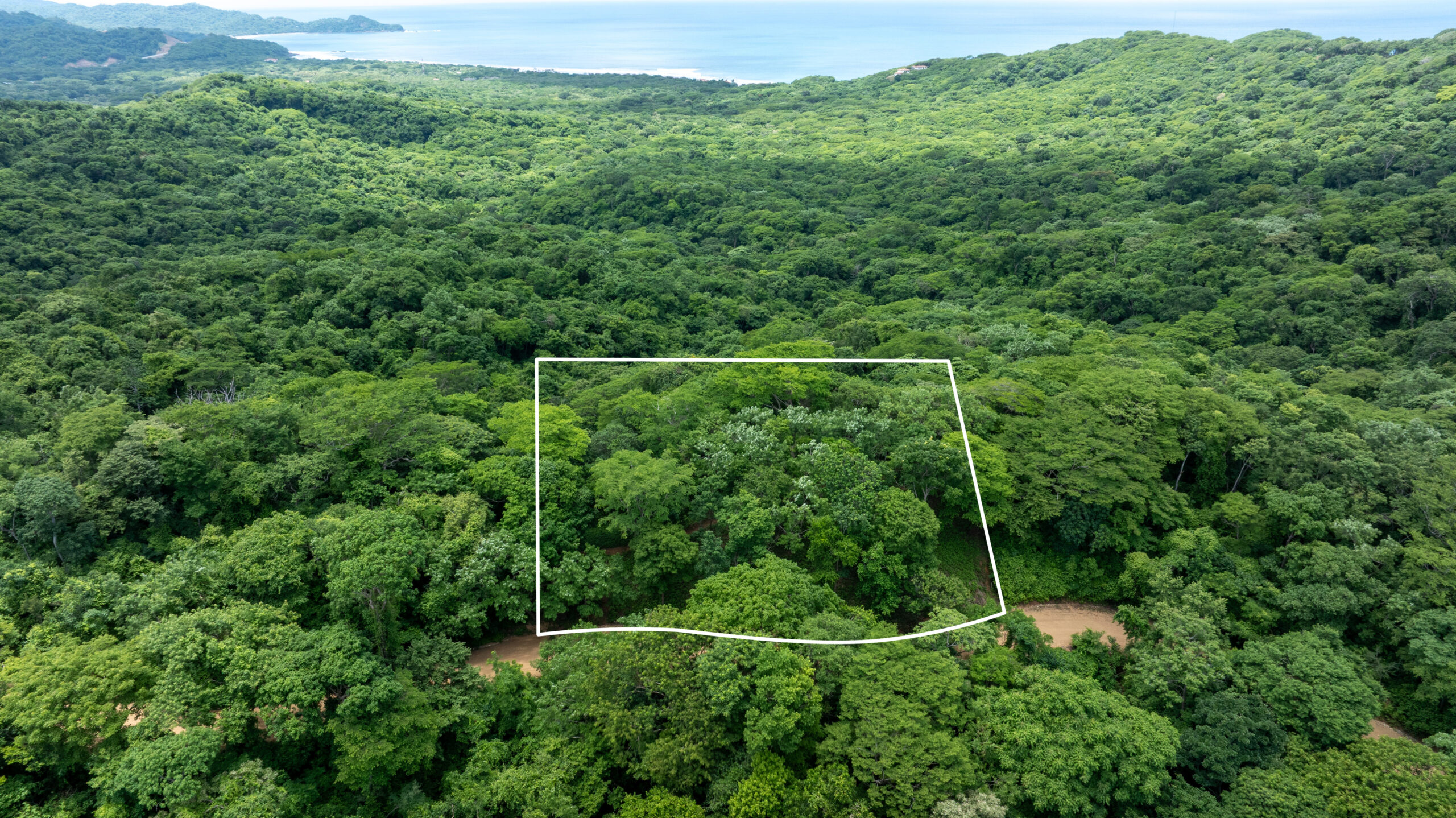 http://Aerial%20view%20of%20dense,%20green%20forest%20with%20a%20rectangular%20plot%20outlined%20in%20white,%20indicating%20a%20specific%20section%20of%20land%20within%20the%20lush%20vegetation;%20coastline%20and%20ocean%20visible%20in%20the%20background.