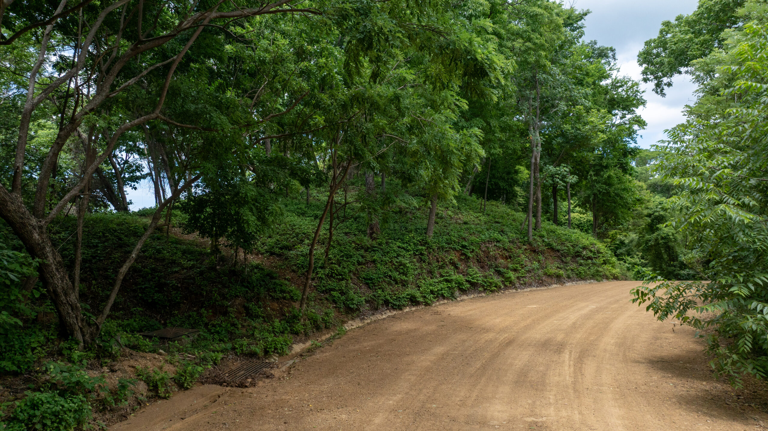 http://A%20winding%20dirt%20road%20curves%20through%20a%20lush,%20green%20forest%20with%20tall%20trees%20and%20dense%20foliage%20under%20a%20partly%20cloudy%20sky.
