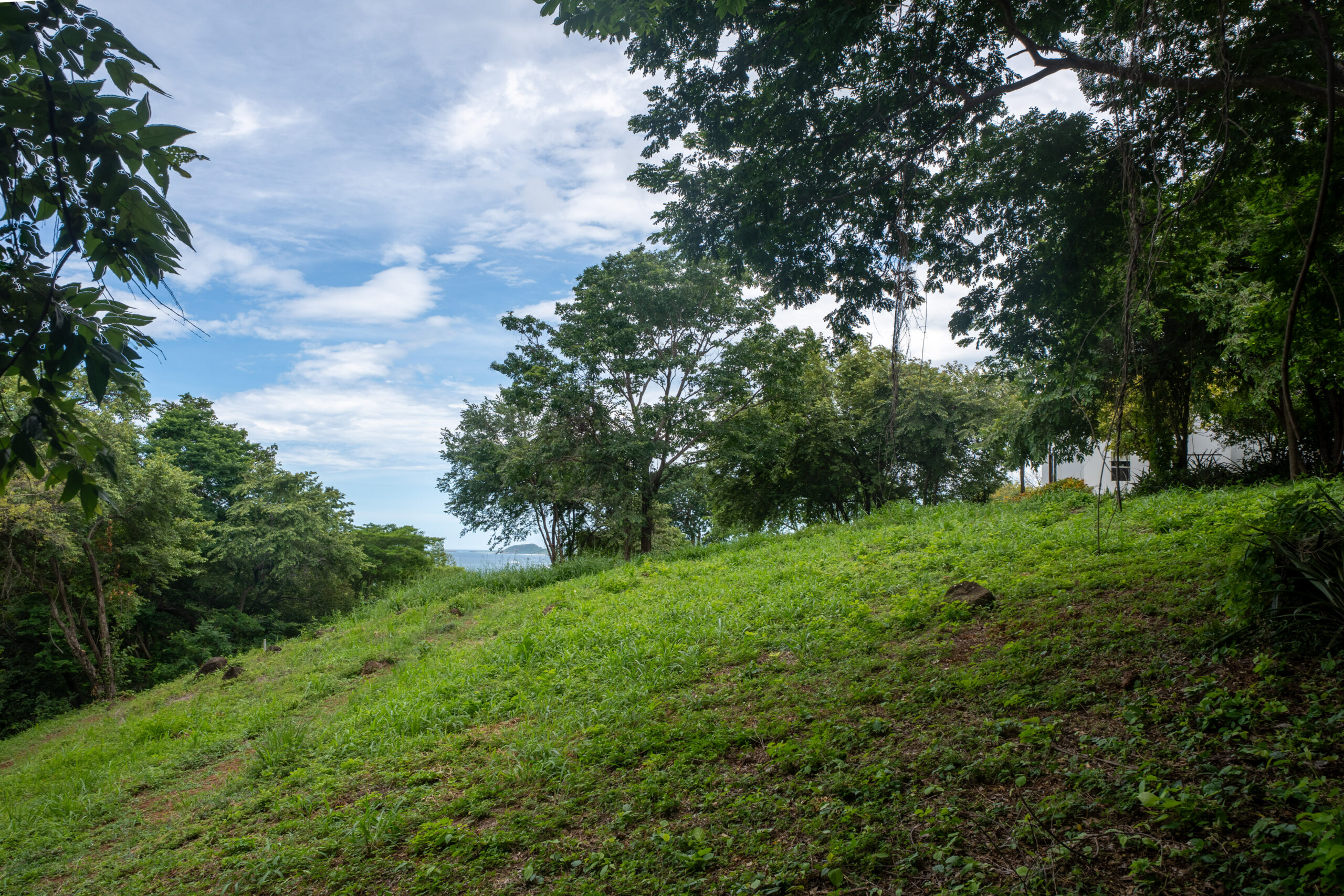 http://A%20grassy%20hillside%20with%20scattered%20trees%20under%20a%20partly%20cloudy%20blue%20sky.%20Sunlight%20filters%20through%20the%20foliage,%20and%20a%20white%20structure%20is%20partially%20visible%20on%20the%20right%20edge%20of%20the%20image.