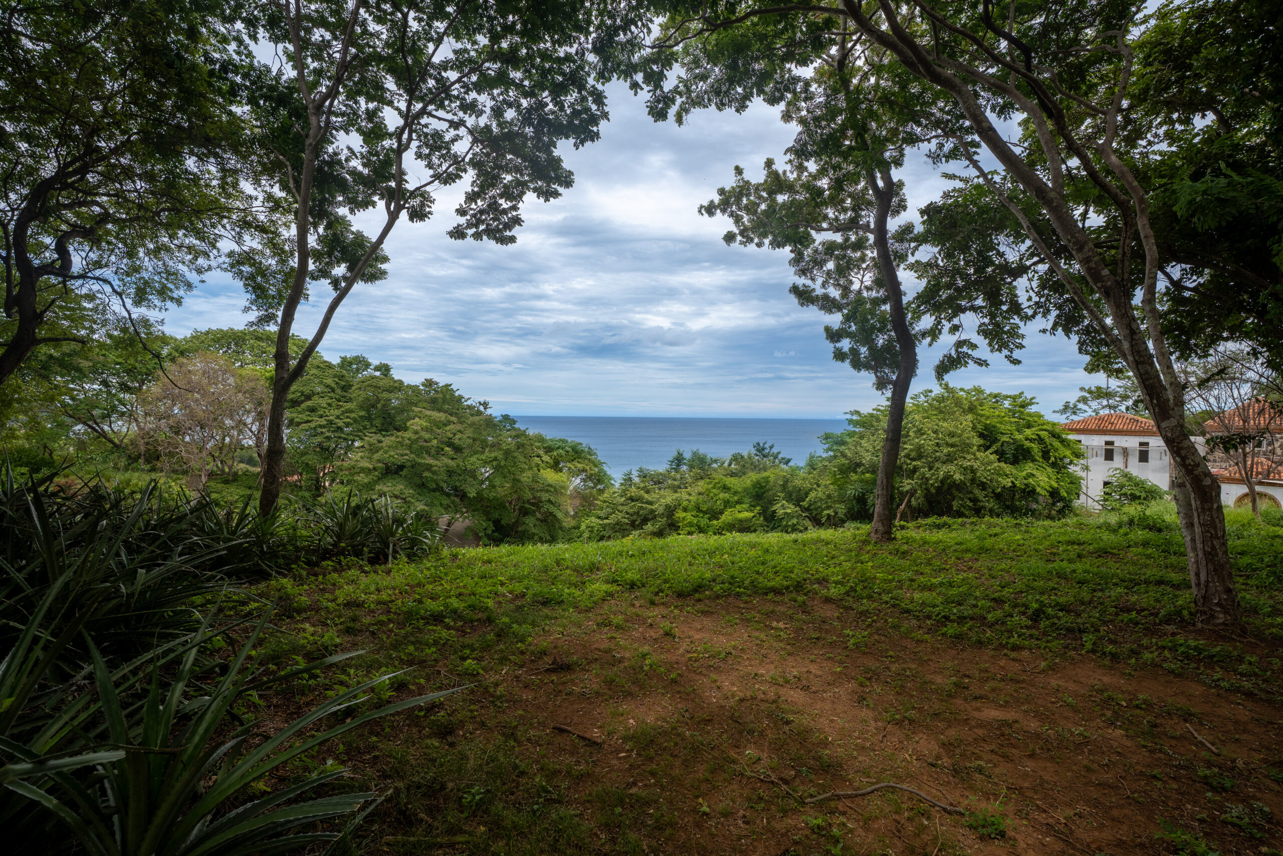http://A%20scenic%20view%20of%20the%20ocean%20framed%20by%20lush%20green%20trees%20and%20foliage,%20with%20a%20grassy%20area%20in%20the%20foreground%20and%20a%20white%20building%20partially%20visible%20on%20the%20right%20side%20under%20a%20cloudy%20sky.