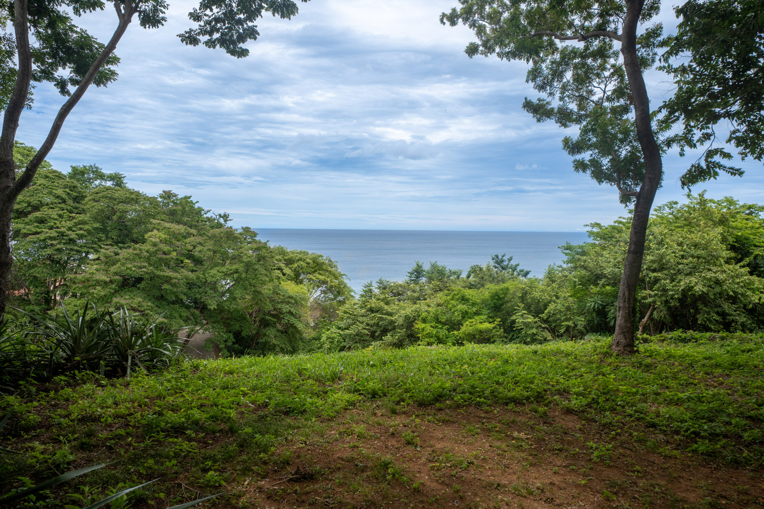 http://View%20of%20the%20ocean%20framed%20by%20tall%20green%20trees%20and%20lush%20vegetation,%20with%20a%20cloudy%20sky%20above%20and%20grassy%20ground%20in%20the%20foreground,%20creating%20a%20peaceful,%20natural%20landscape%20scene.