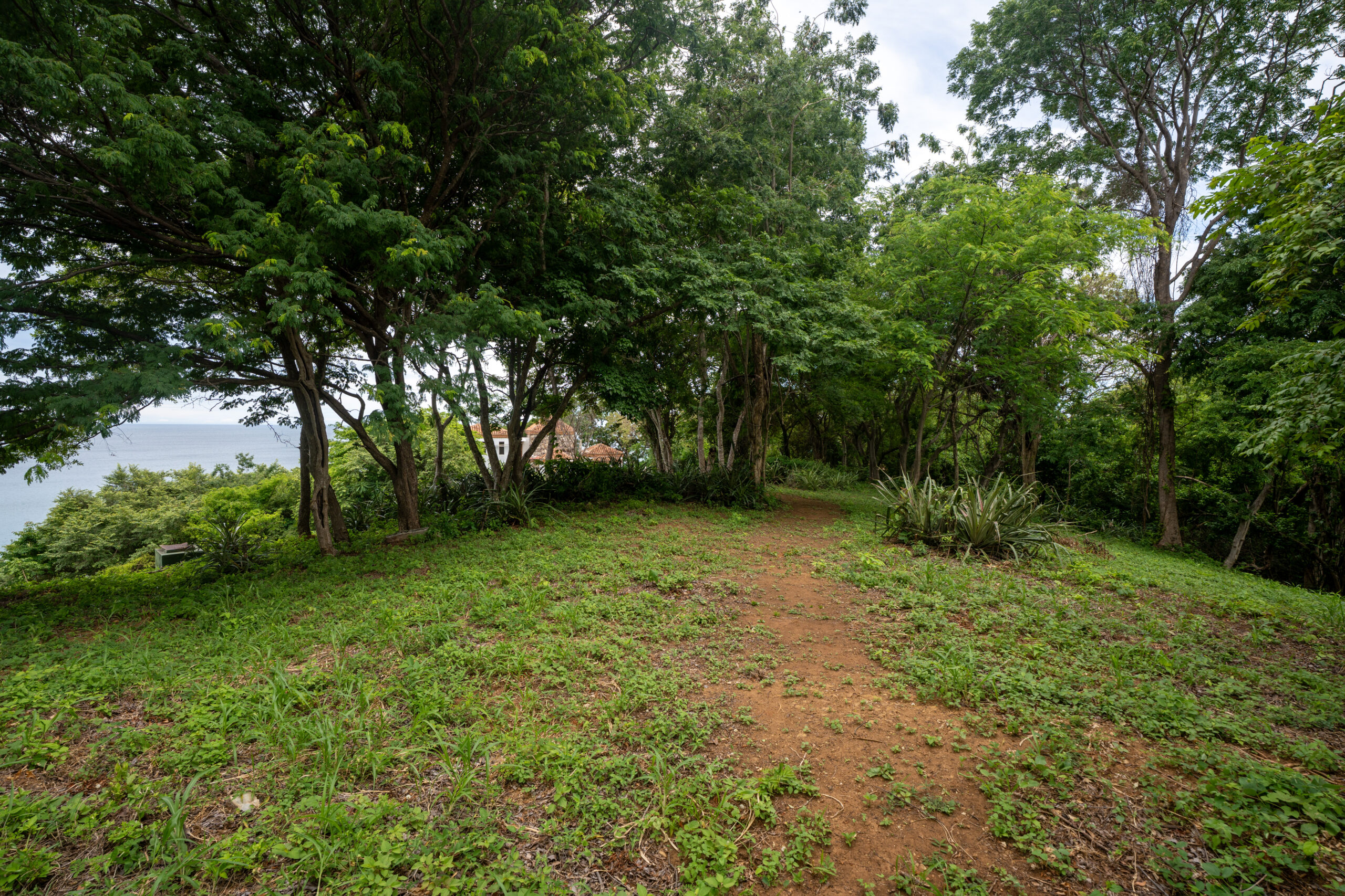 http://A%20dirt%20path%20winds%20through%20a%20lush,%20green%20forest%20with%20tall%20trees%20and%20dense%20foliage.%20The%20ground%20is%20covered%20in%20grass%20and%20small%20plants,%20and%20the%20sky%20is%20partly%20cloudy%20above.