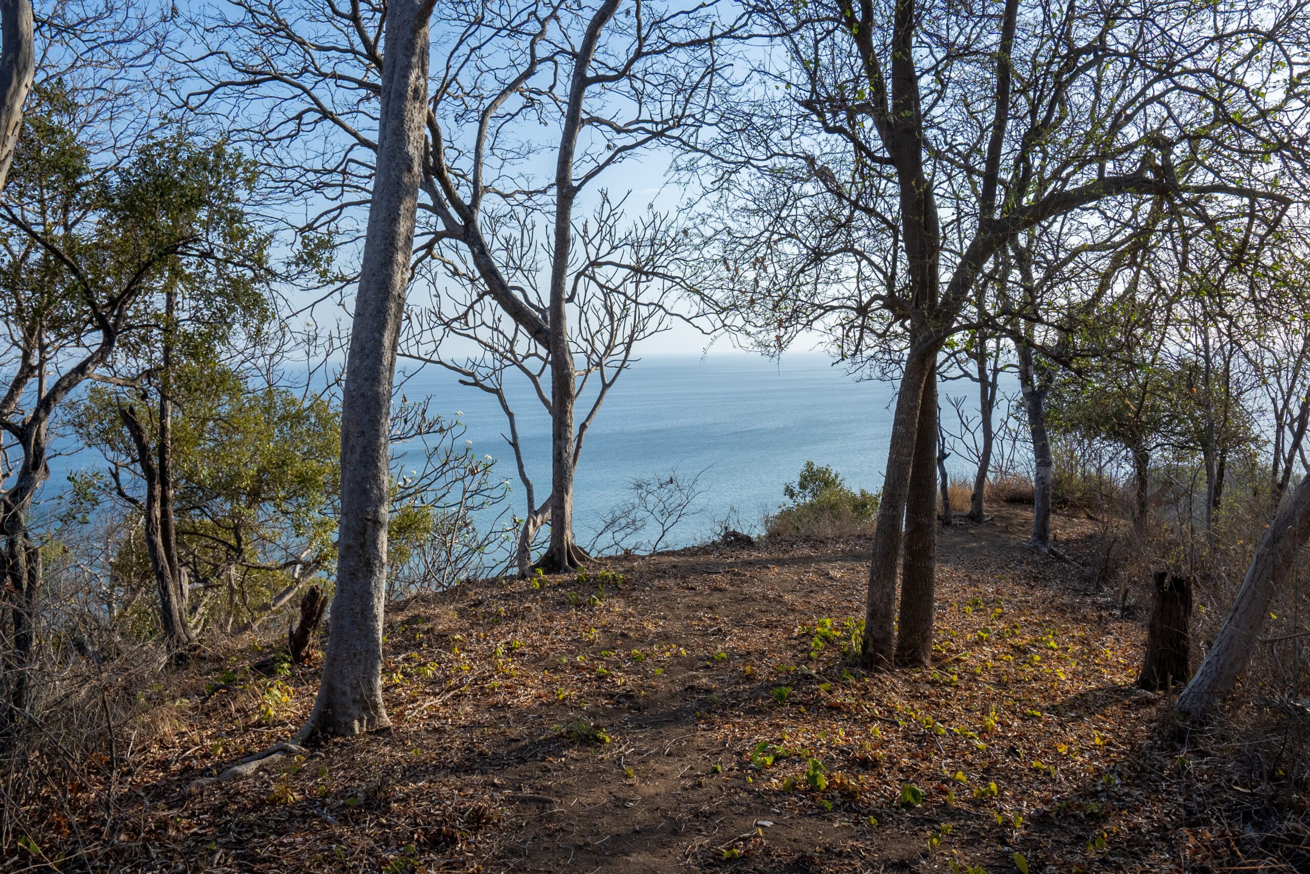 http://view%20of%20the%20ocean%20view%20lot%20LP30%20at%20Rancho%20Santana
