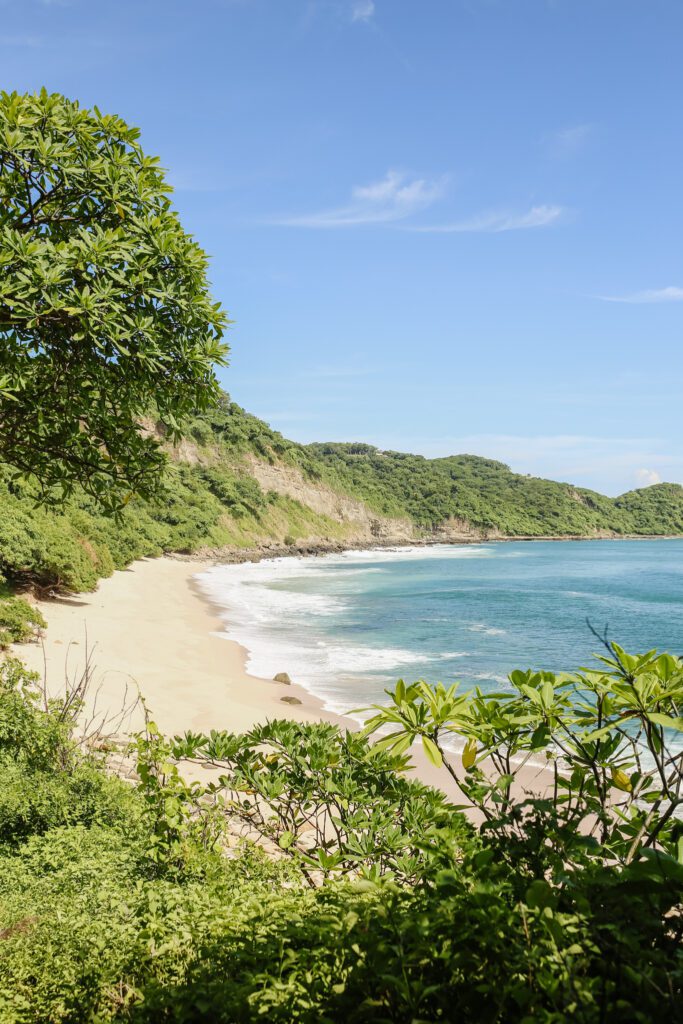 A secluded sandy beach bordered by lush green hills and trees, with gentle waves meeting the shore under a clear blue sky—perfect for a summer adventure with the Davis Family.