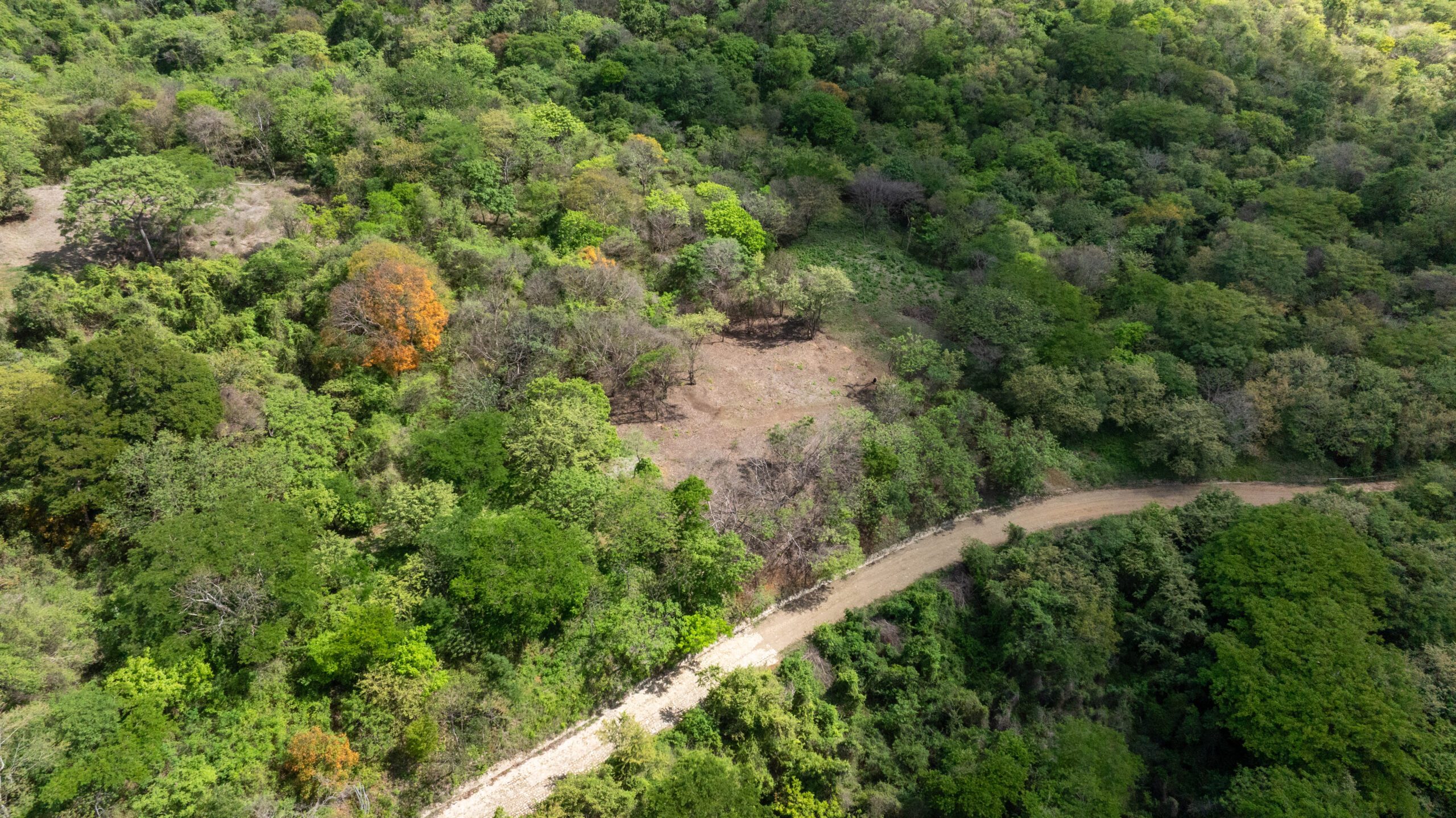 http://Aerial%20view%20of%20a%20winding%20dirt%20road%20cutting%20through%20dense%20green%20forest,%20with%20a%20cleared%20and%20brown%20patch%20of%20land%20visible%20among%20the%20trees.