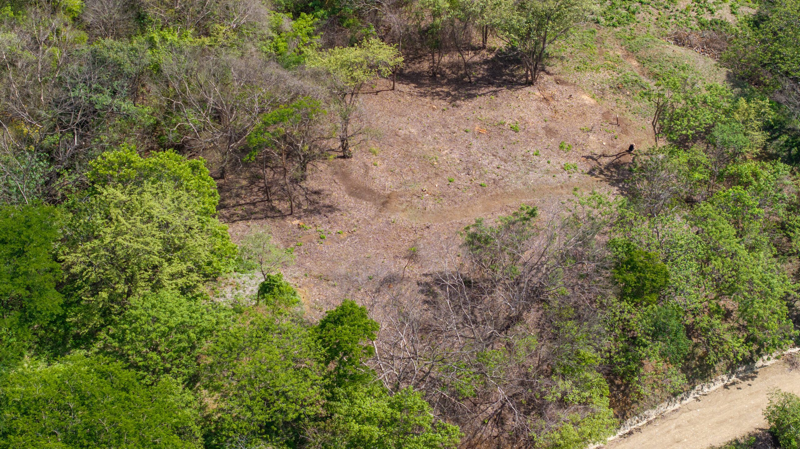 http://Aerial%20view%20of%20a%20clearing%20surrounded%20by%20green%20trees%20and%20patches%20of%20dry,%20brown%20vegetation,%20with%20a%20dirt%20path%20or%20road%20running%20along%20the%20lower%20right%20edge%20of%20the%20image.