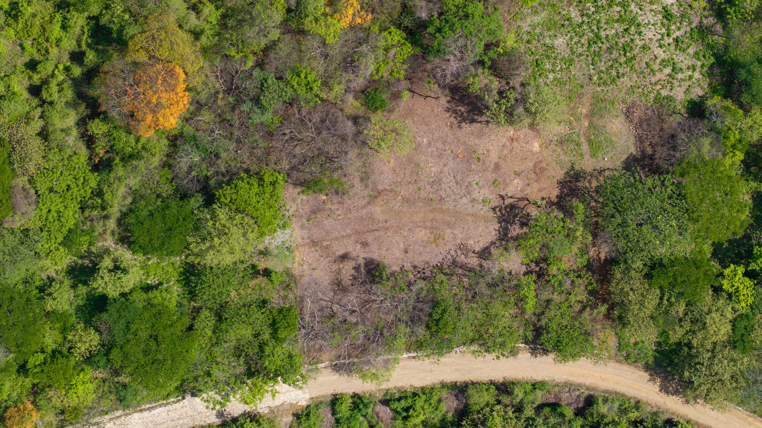 http://Aerial%20view%20of%20a%20forest%20with%20a%20large,%20cleared%20patch%20of%20brown%20earth%20in%20the%20center,%20surrounded%20by%20dense%20green%20trees%20and%20a%20winding%20dirt%20road%20at%20the%20bottom%20of%20the%20image.