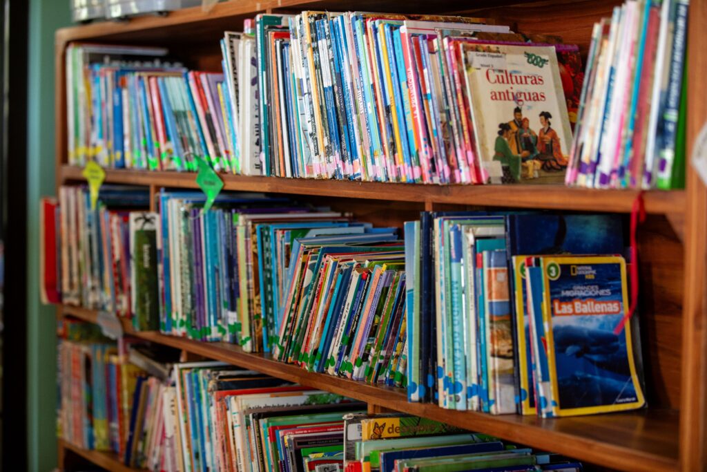 Wooden bookshelves filled with colorful children's books, some labeled with colored tabs, create a vibrant scene that helps celebrate 10 Years of CREA. Visible titles include Culturas Antiguas and Las Ballenas. The books are arranged upright and stacked horizontally.