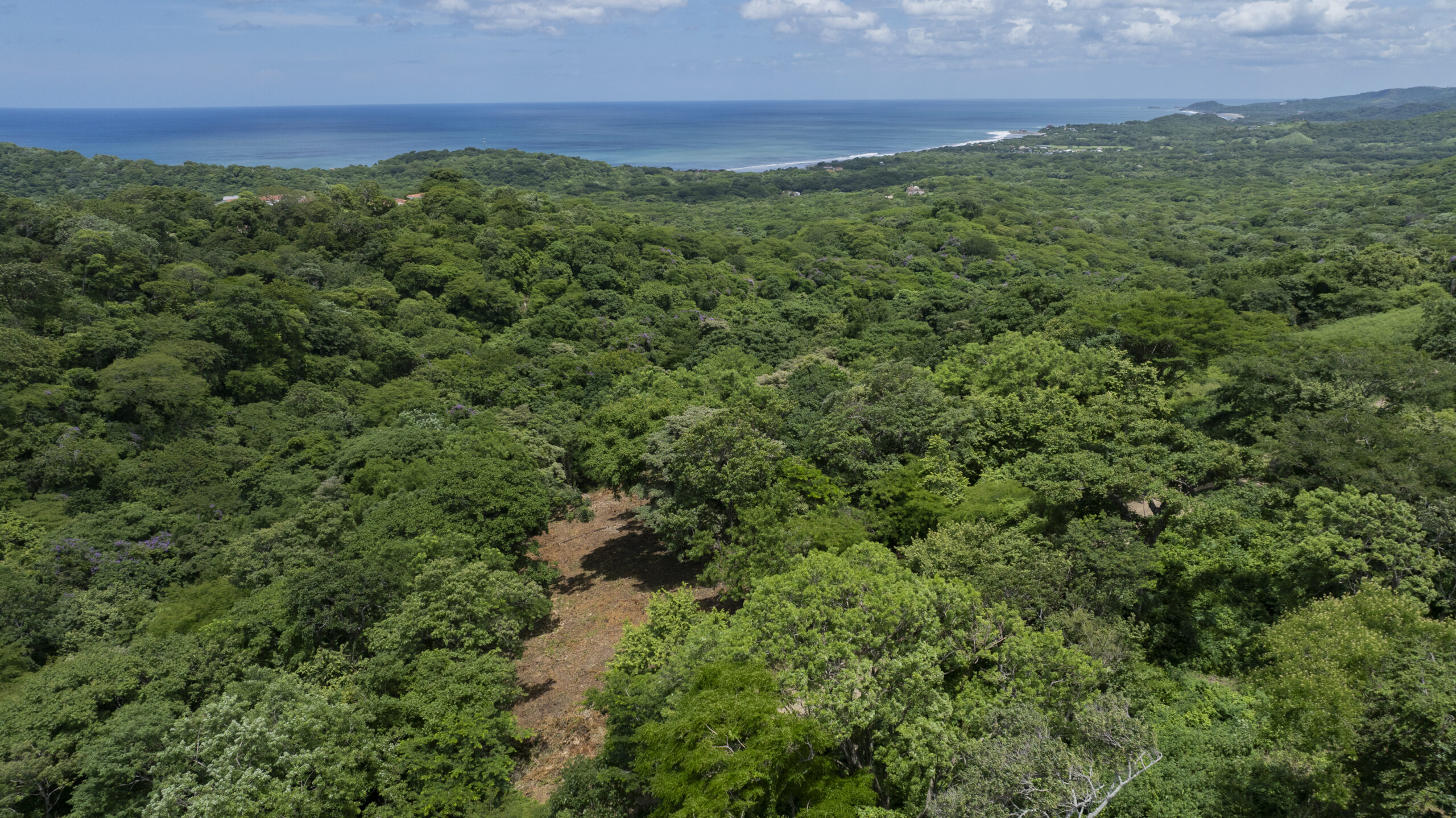 http://Aerial%20view%20of%20dense%20green%20forest%20with%20a%20small%20clearing%20in%20the%20center,%20stretching%20toward%20a%20distant%20coastline%20under%20a%20partly%20cloudy%20sky.%20The%20blue%20ocean%20meets%20the%20horizon%20in%20the%20background.