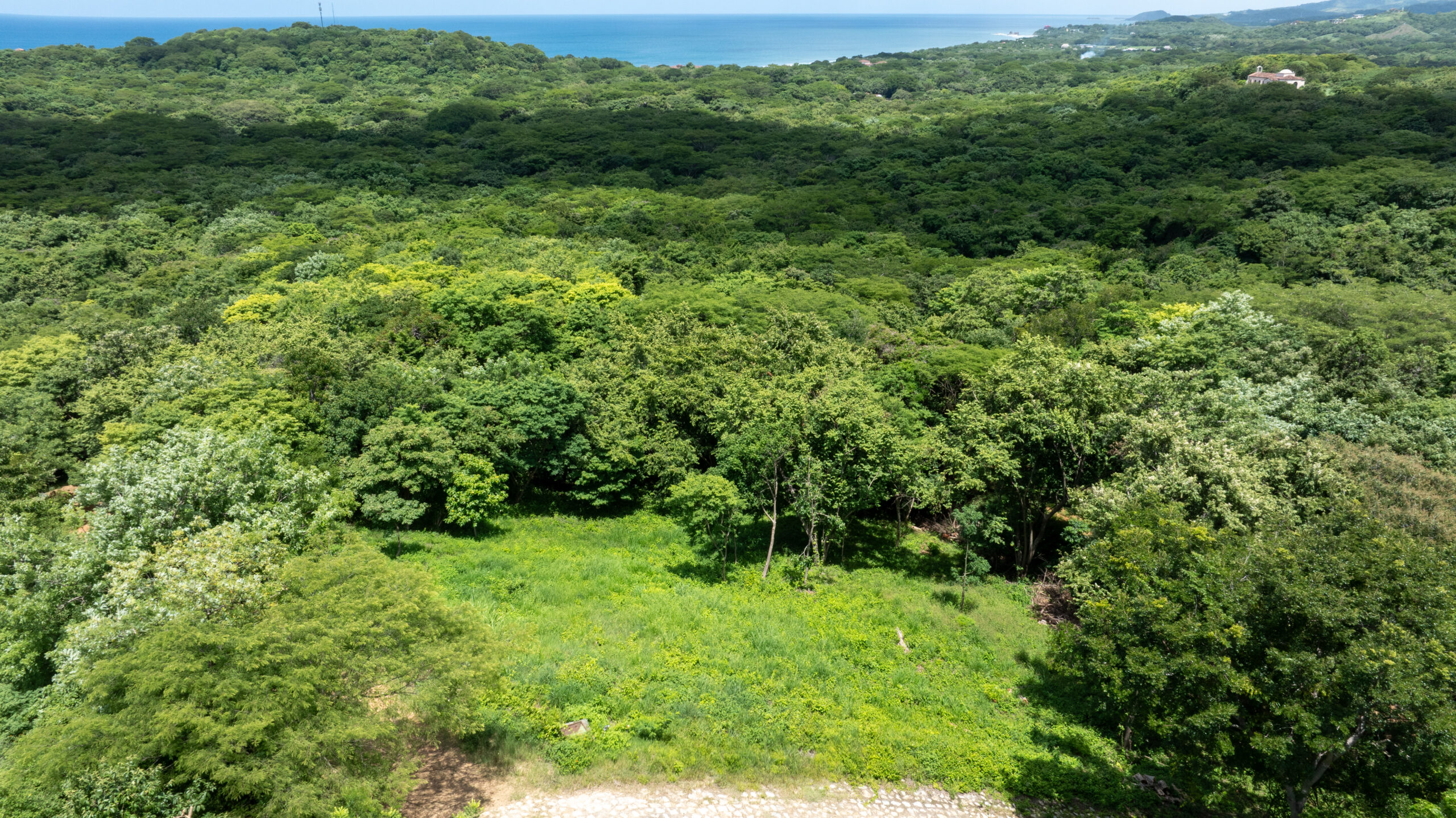 http://Aerial%20view%20of%20a%20dense%20green%20forest%20with%20a%20small%20clearing%20in%20the%20center,%20bordered%20by%20lush%20trees,%20with%20the%20ocean%20and%20coastline%20visible%20in%20the%20background.