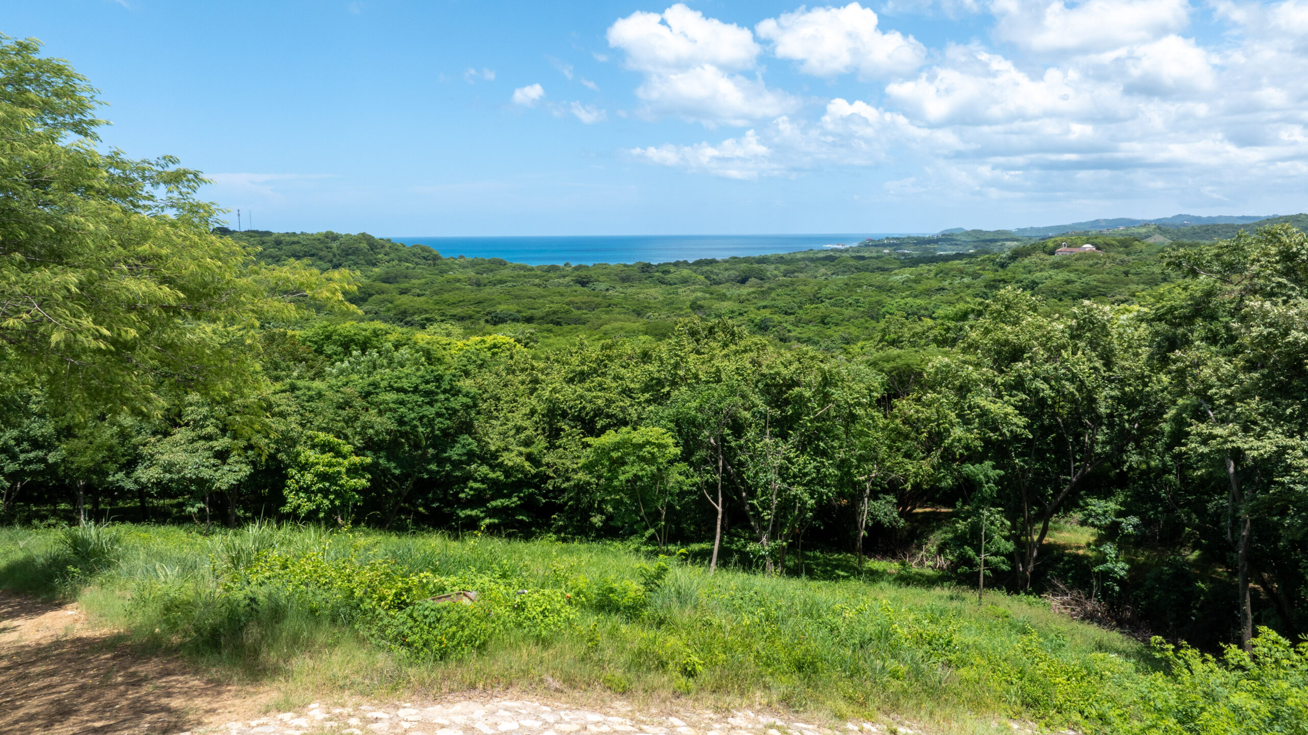 http://View%20of%20a%20lush%20green%20forest%20with%20dense%20trees,%20a%20distant%20blue%20ocean,%20and%20a%20partly%20cloudy%20sky.%20A%20rocky%20path%20and%20grass%20are%20visible%20in%20the%20foreground.