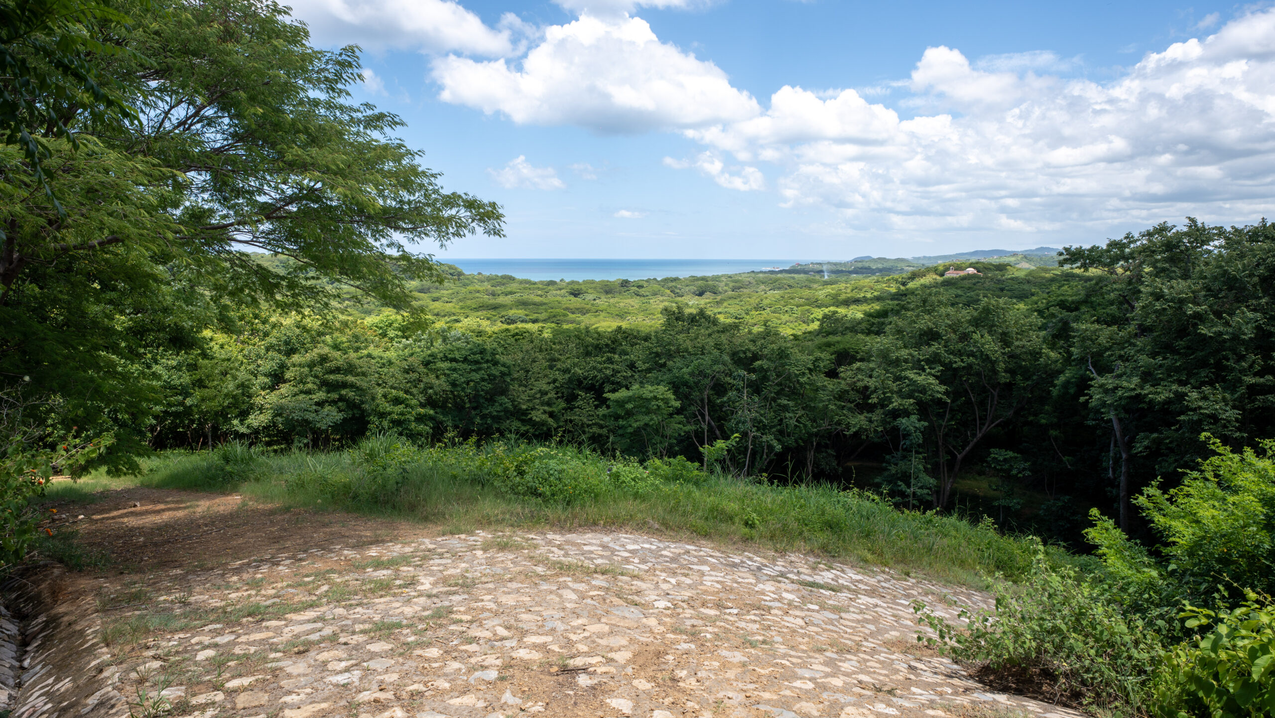 http://A%20stone%20path%20leads%20through%20lush%20green%20forest%20with%20a%20view%20of%20the%20ocean%20and%20blue%20sky%20with%20scattered%20clouds%20in%20the%20distance.