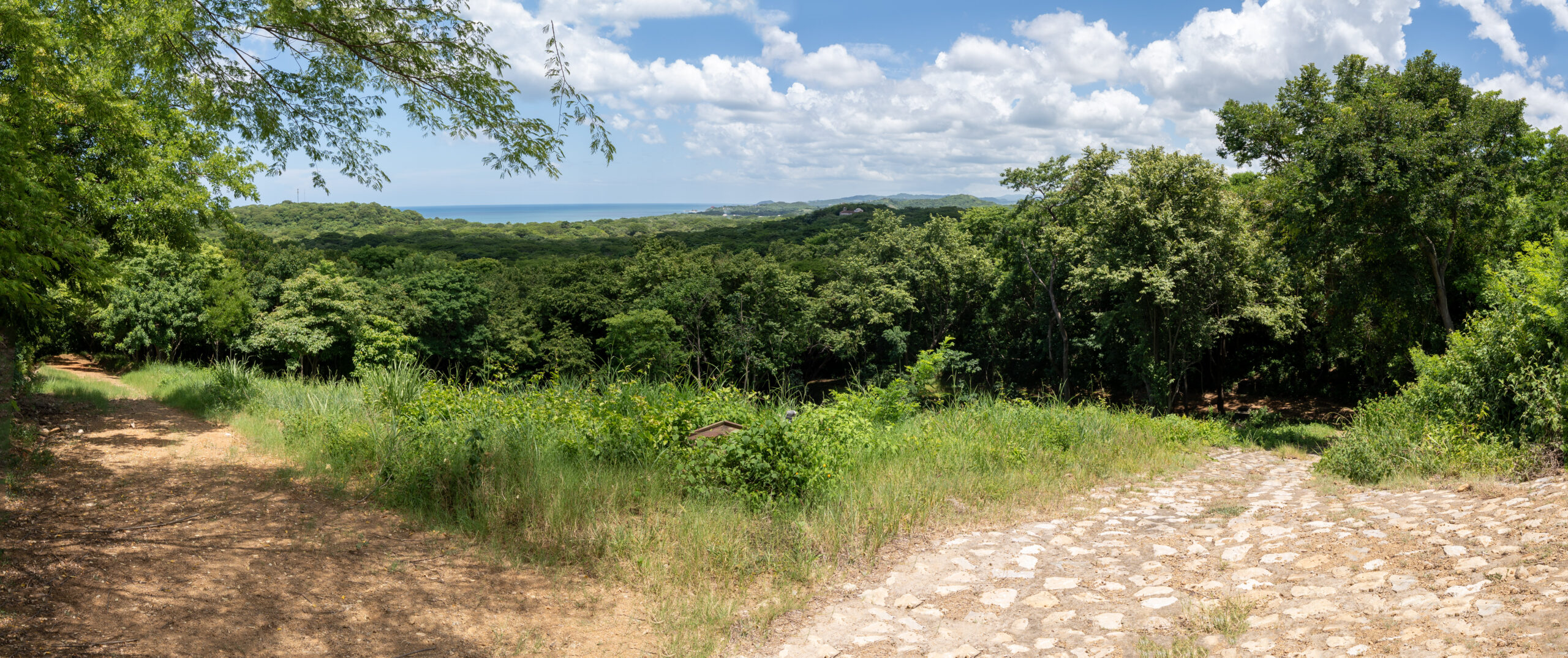 http://A%20panoramic%20view%20of%20a%20lush%20green%20forest%20with%20a%20dirt%20path%20and%20a%20stone%20path%20diverging%20in%20the%20foreground,%20under%20a%20partly%20cloudy%20blue%20sky%20with%20distant%20hills%20and%20the%20ocean%20visible%20on%20the%20horizon.