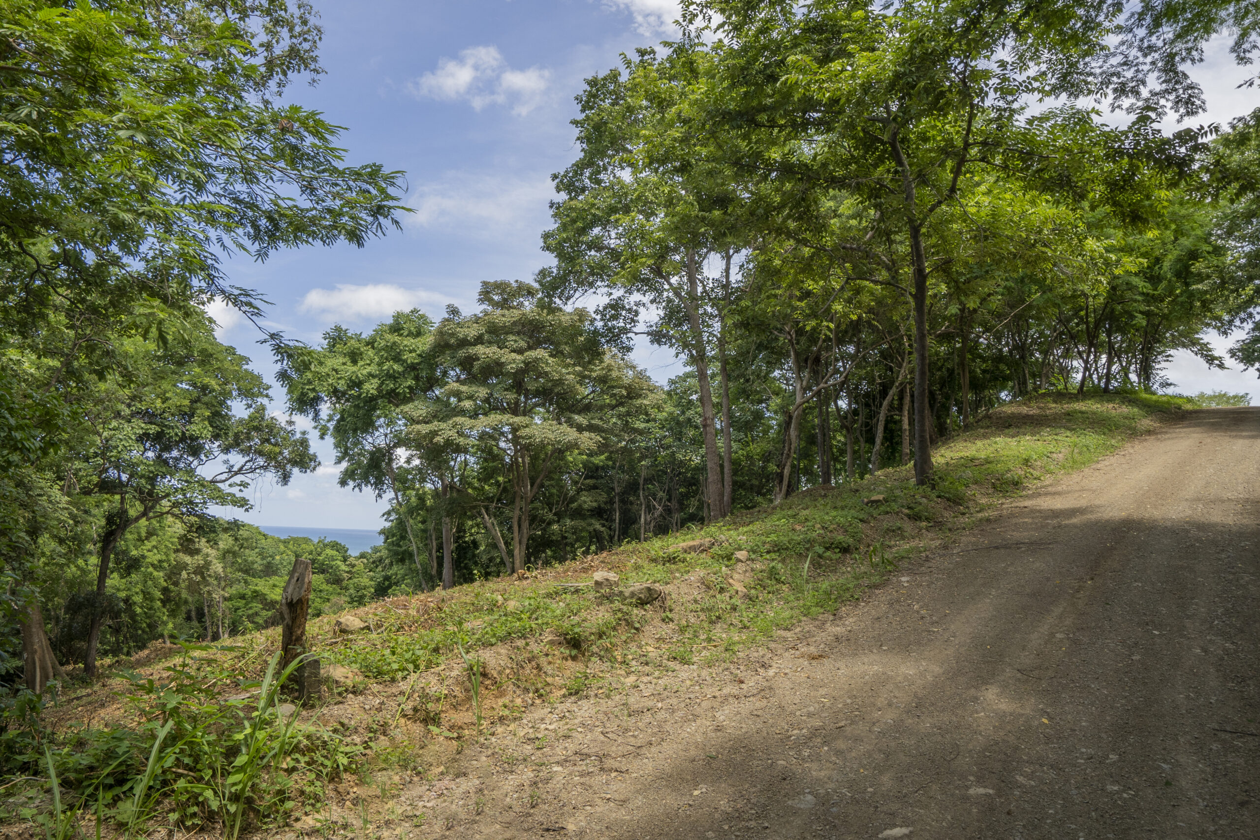 http://A%20dirt%20road%20curves%20through%20a%20forested%20area%20with%20tall%20green%20trees%20and%20patches%20of%20sunlight.%20The%20sky%20is%20blue%20with%20scattered%20clouds,%20and%20there%20is%20a%20glimpse%20of%20the%20distant%20horizon%20through%20the%20trees.