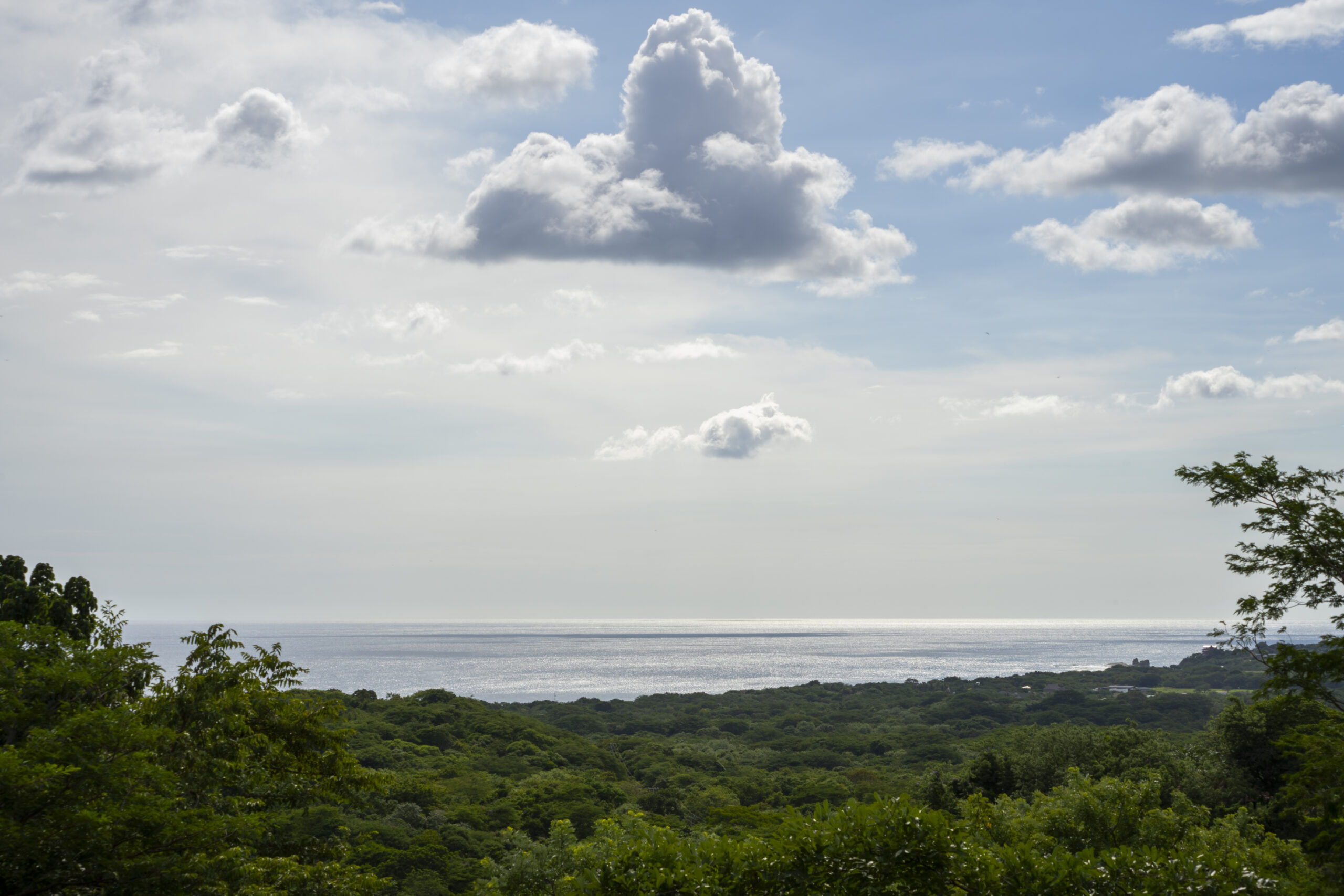 http://A%20scenic%20view%20of%20the%20ocean%20with%20sunlight%20reflecting%20on%20the%20water,%20lush%20green%20trees%20in%20the%20foreground,%20and%20a%20partly%20cloudy%20sky%20overhead.
