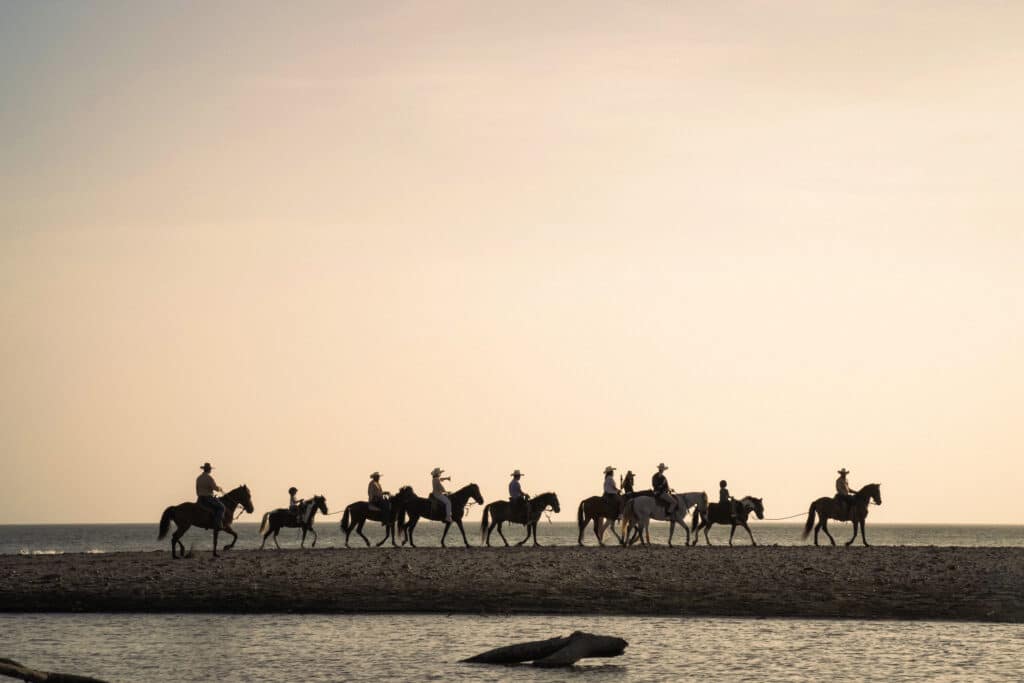 A group of people riding horses along a beach at sunset, silhouetted against the sky with calm water in the foreground—capturing the spirit of Daily Adventures.