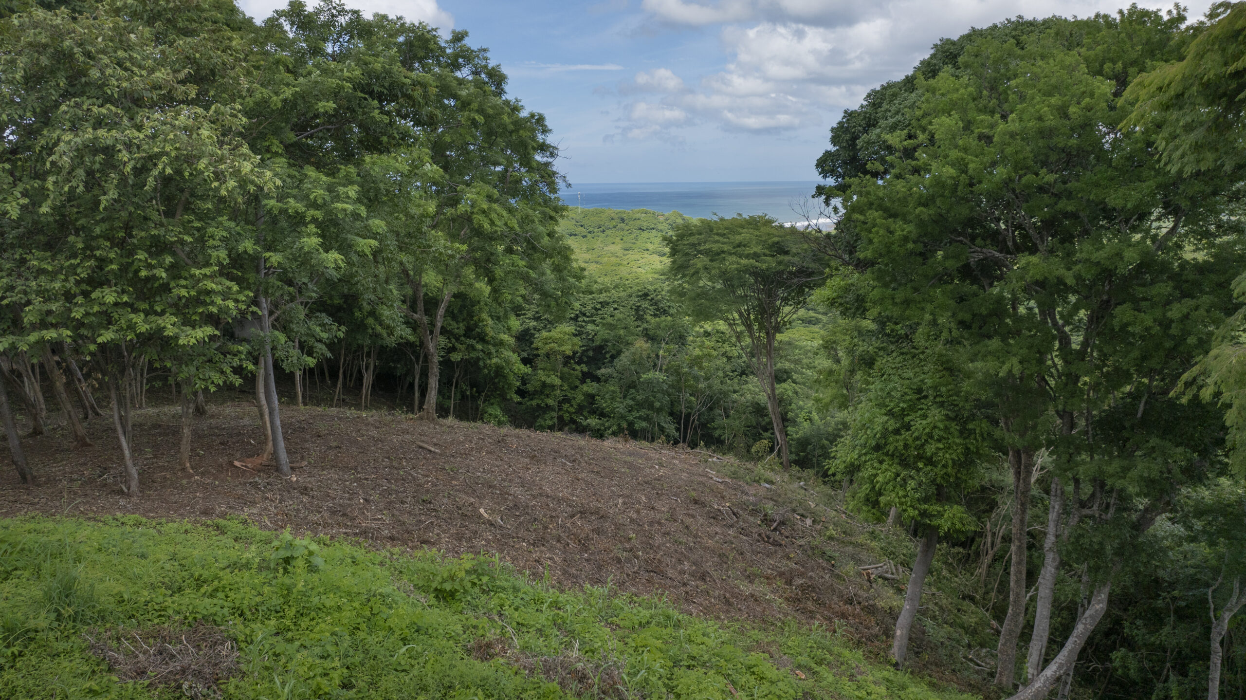 http://A%20hillside%20clearing%20surrounded%20by%20dense%20green%20trees%20overlooks%20a%20distant%20view%20of%20the%20ocean%20under%20a%20partly%20cloudy%20sky.%20The%20cleared%20area%20contrasts%20with%20the%20lush%20vegetation%20around%20it.