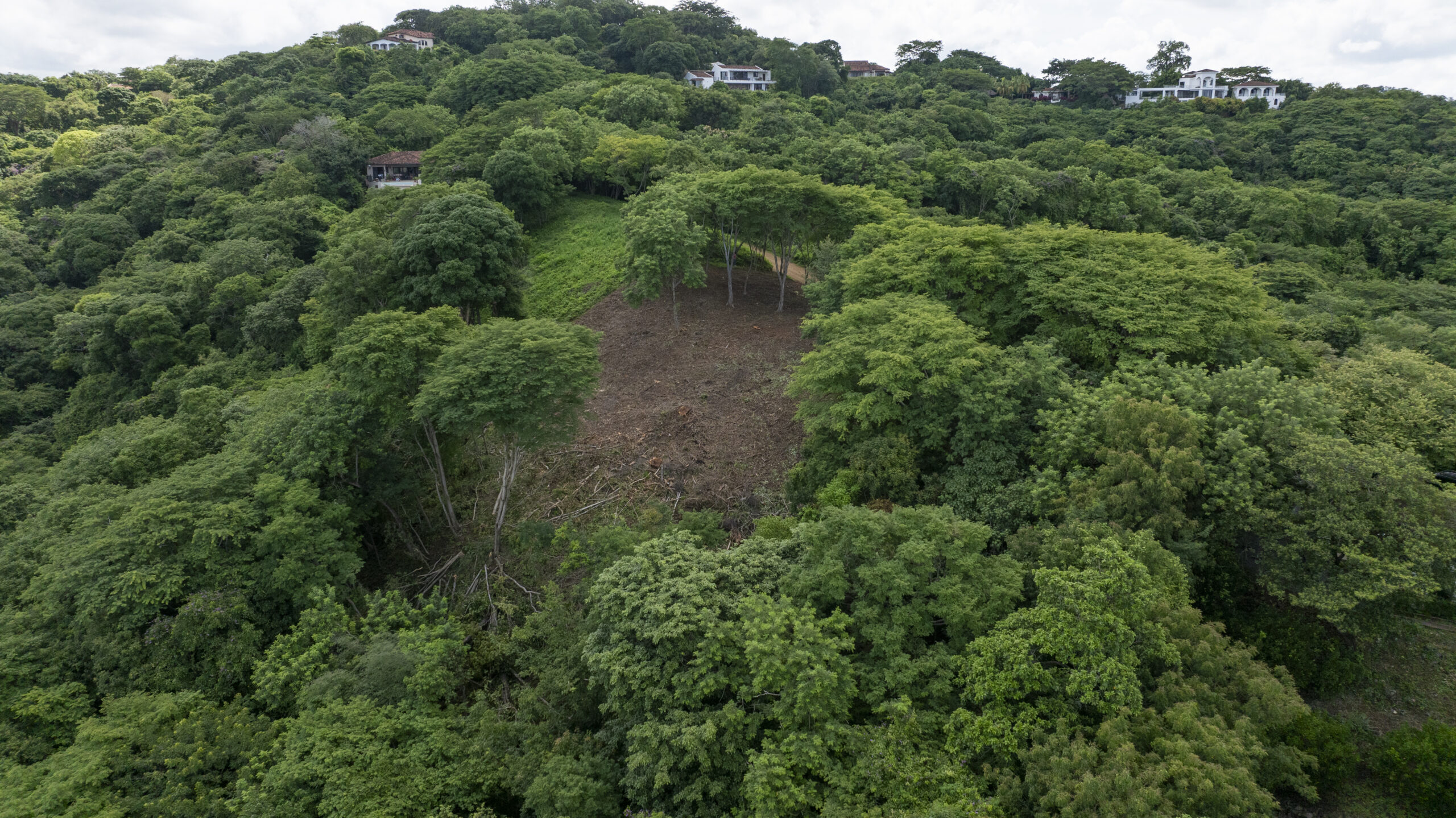 http://Aerial%20view%20of%20a%20lush%20green%20forest%20with%20a%20large,%20cleared%20patch%20of%20land%20in%20the%20center,%20surrounded%20by%20dense%20trees.%20Several%20houses%20are%20visible%20on%20the%20hilltop%20in%20the%20background.