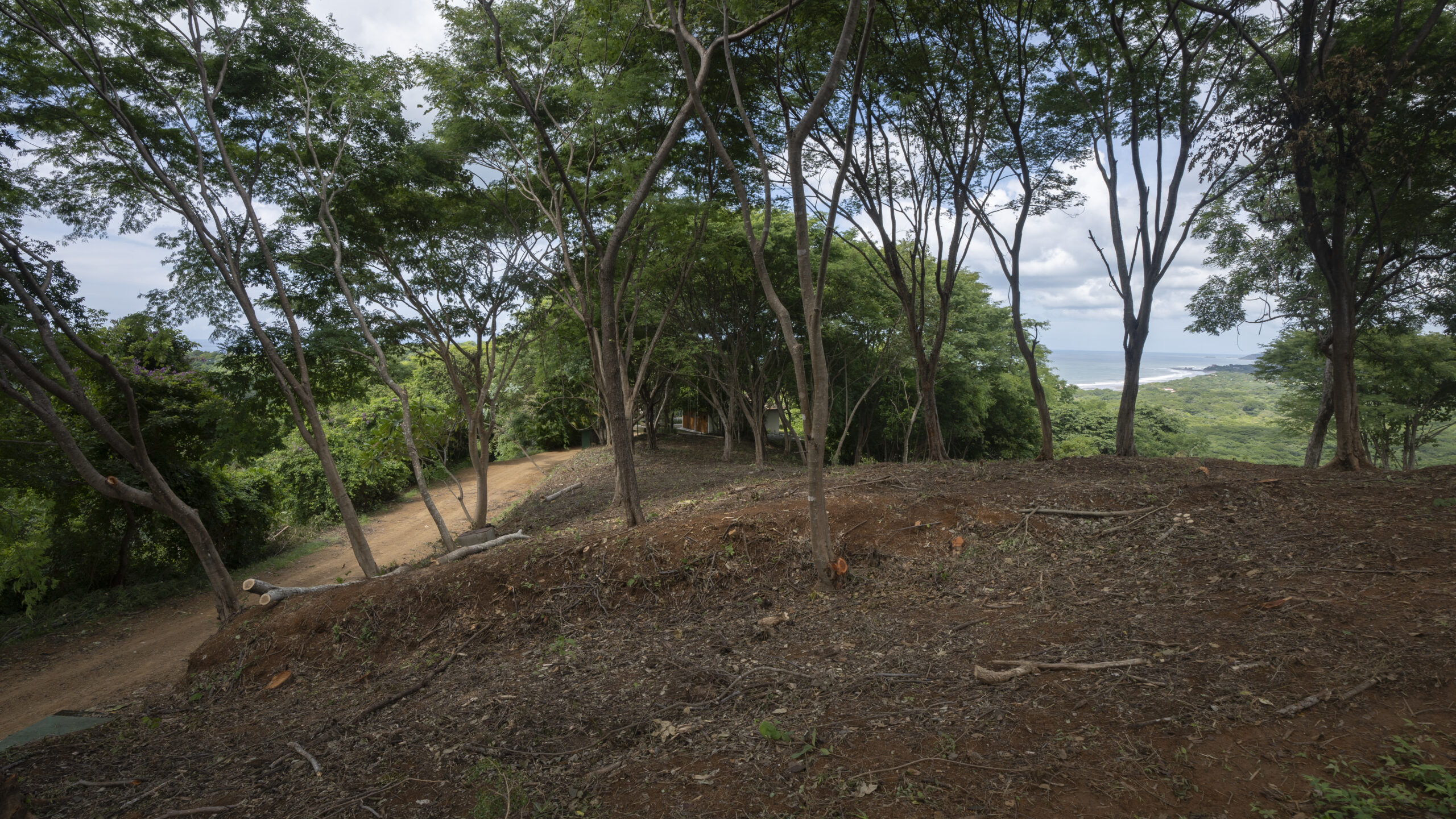 http://A%20dirt%20path%20winds%20through%20a%20forested%20hillside%20with%20tall,%20thin%20trees.%20In%20the%20distance,%20green%20foliage%20stretches%20toward%20the%20horizon,%20where%20a%20glimpse%20of%20the%20ocean%20is%20visible%20under%20a%20partly%20cloudy%20sky.