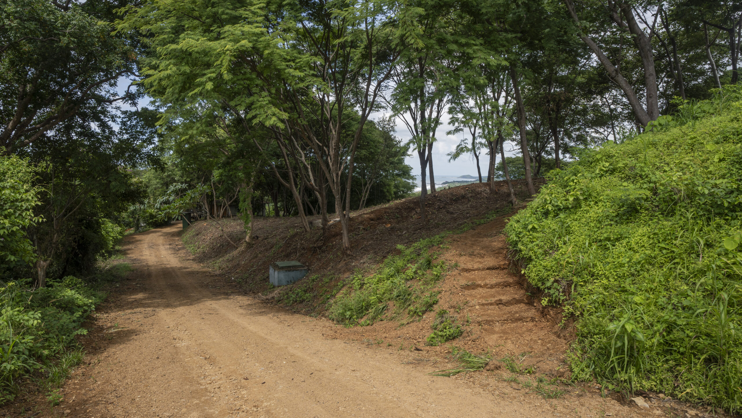 http://A%20dirt%20road%20runs%20through%20a%20wooded%20area%20with%20green%20trees.%20To%20the%20right,%20a%20set%20of%20rough%20steps%20leads%20up%20a%20grassy%20embankment.%20Sunlight%20filters%20through%20the%20leaves,%20and%20the%20sky%20is%20partly%20cloudy%20in%20the%20background.