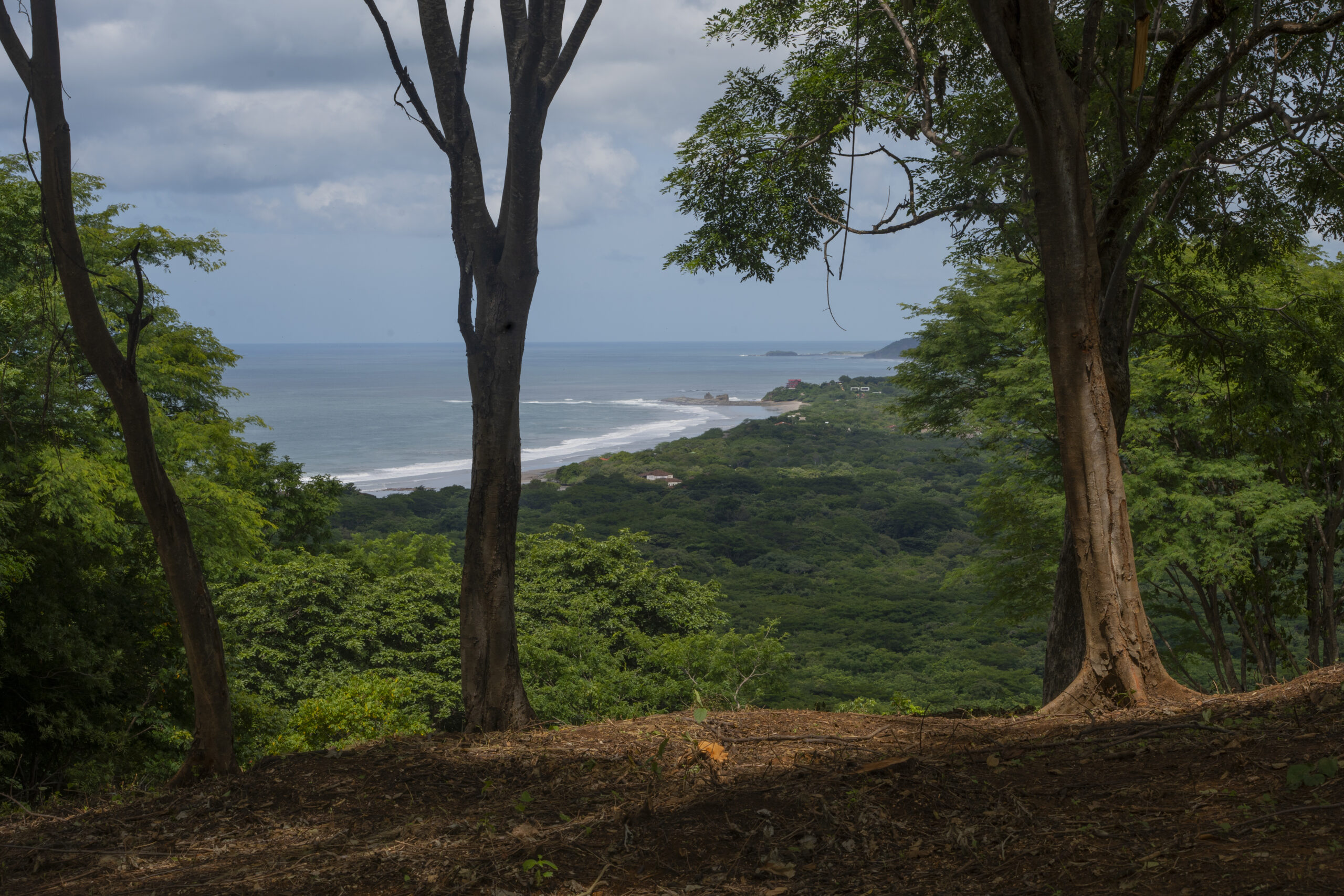 http://View%20of%20a%20lush%20green%20forest%20leading%20to%20a%20distant%20coastline,%20with%20waves%20breaking%20on%20the%20shore,%20framed%20by%20tall%20trees%20in%20the%20foreground%20under%20a%20partly%20cloudy%20sky.
