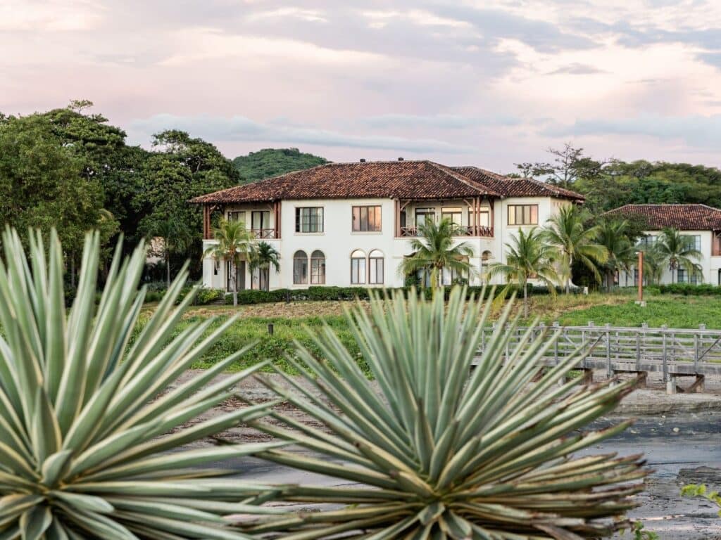 A white two-story house with a red tiled roof is surrounded by palm trees and greenery, viewed behind spiky desert plants at sunset—the perfect setting for a memorable family pizza-making evening or an outdoor family cooking class.