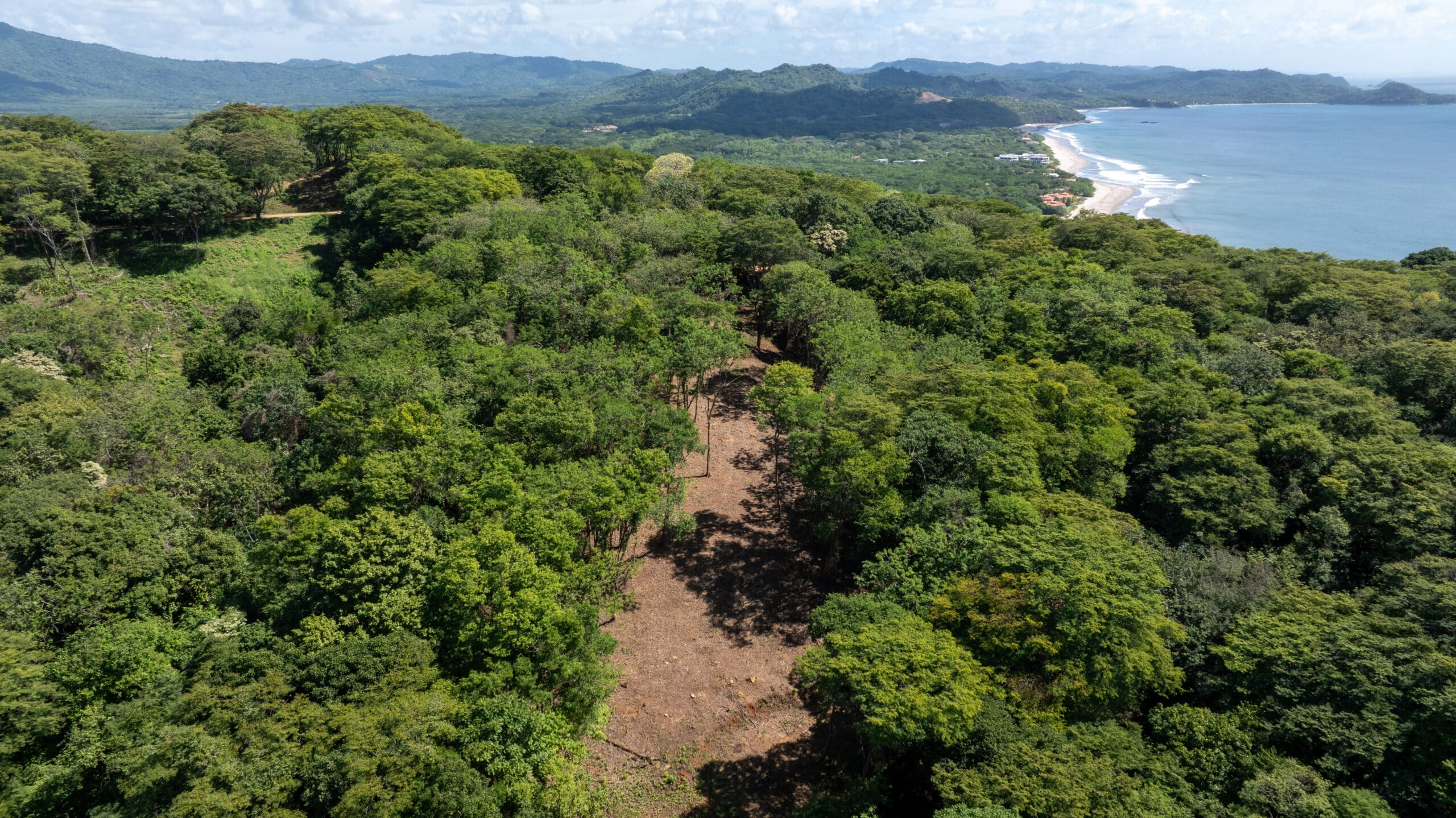 http://Aerial%20view%20of%20a%20lush%20green%20forest%20with%20a%20cleared%20dirt%20path%20running%20through%20the%20trees,%20leading%20towards%20a%20distant%20coastline%20with%20sandy%20beaches%20and%20rolling%20hills%20under%20a%20partly%20cloudy%20sky.