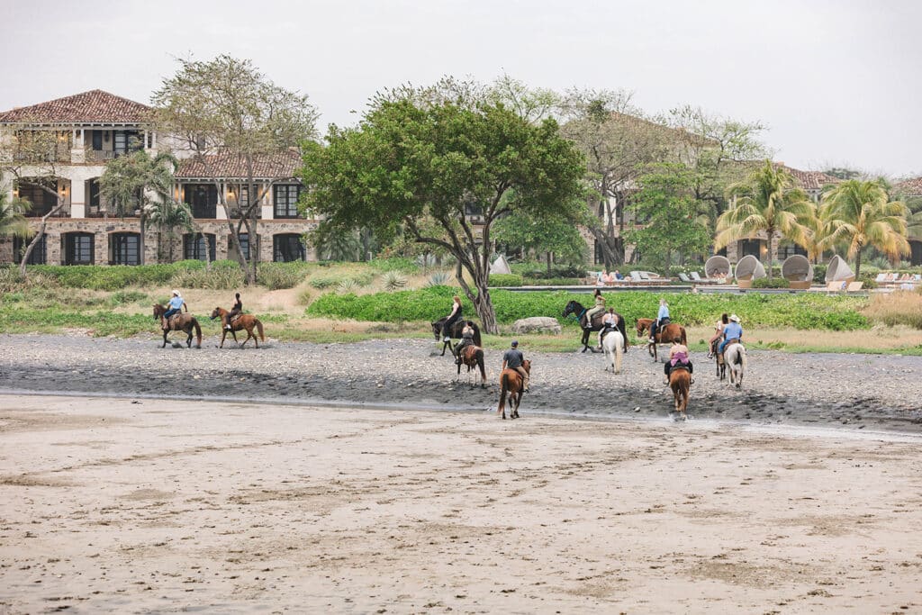 A group of people ride horses along a sandy beach toward a wellness retreat with palm trees and large buildings in the background. The scene is relaxed, with greenery, ocean nearby, and a focus on fitness and rejuvenation.