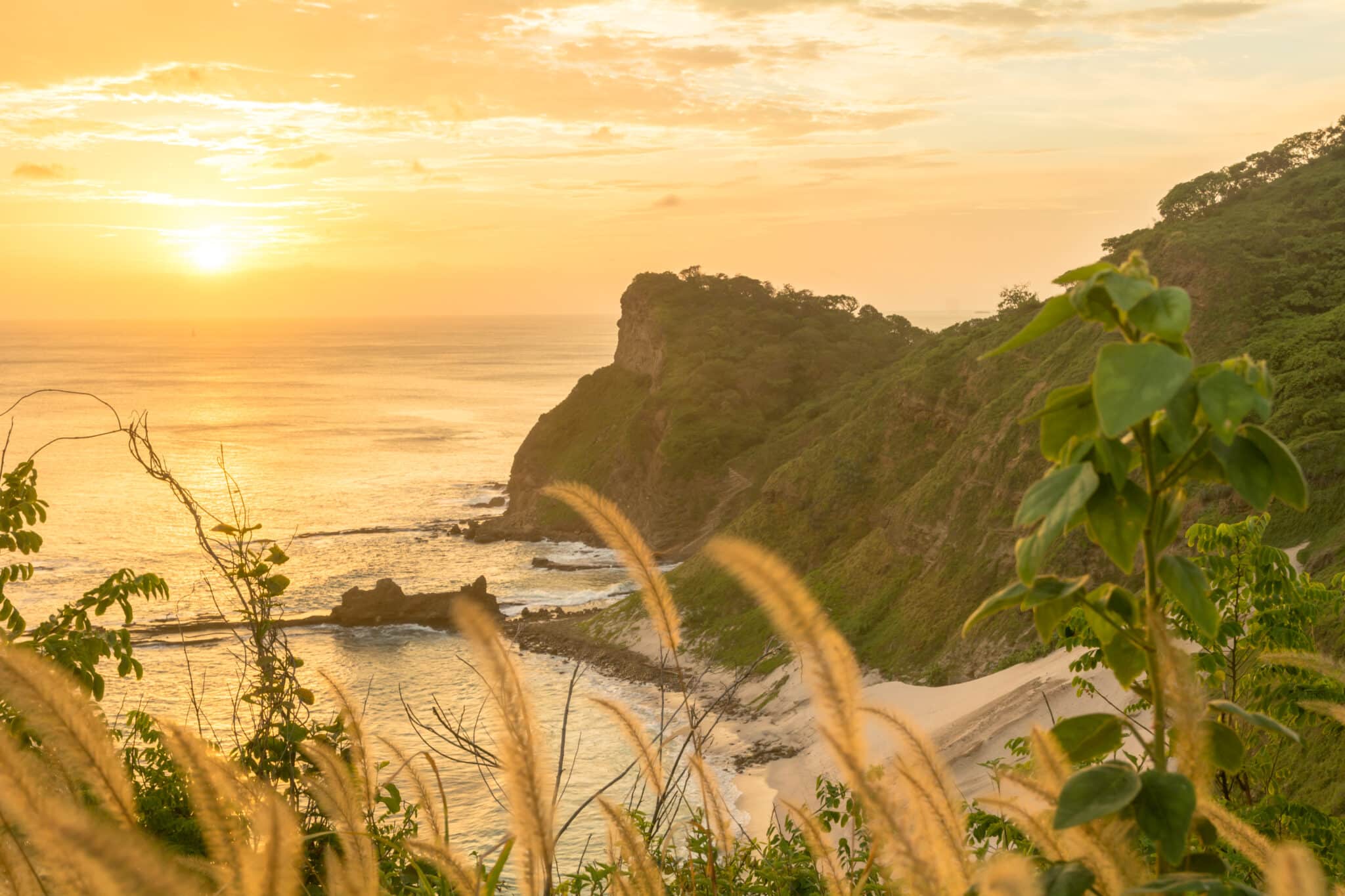 Golden sunset over a coastal cliff in Nicaragua with lush greenery, tall grasses in the foreground, and gentle waves washing onto a sandy beach below. The sky is filled with warm hues of orange and yellow—perfect for travel destinations lovers.