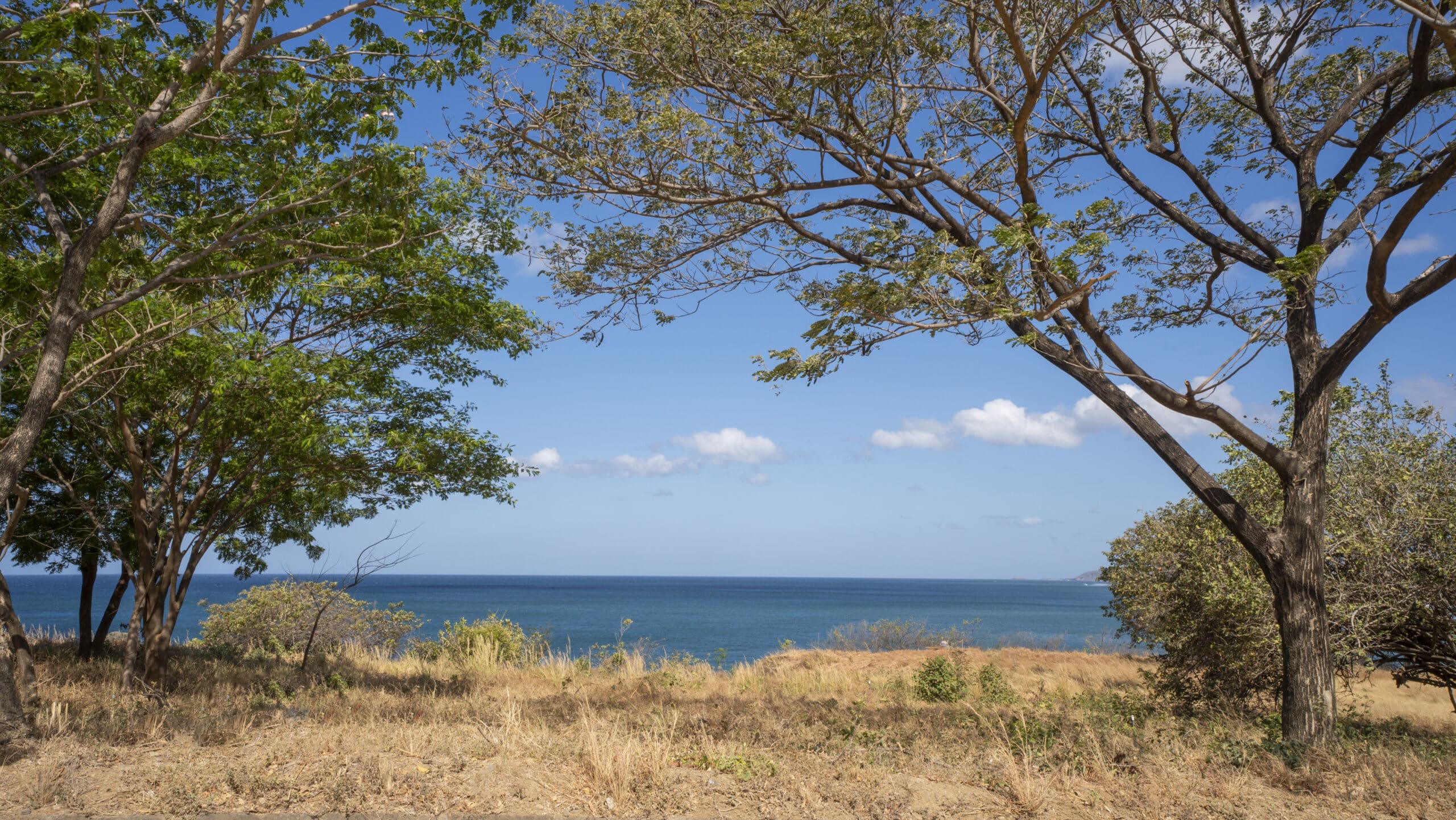 http://A%20scenic%20view%20of%20a%20calm%20blue%20ocean%20under%20a%20clear%20sky,%20framed%20by%20leafy%20trees%20and%20dry%20grass%20on%20the%20shoreline%20in%20the%20foreground%20near%20Lot%20F7%20and%20Lot%20F9.