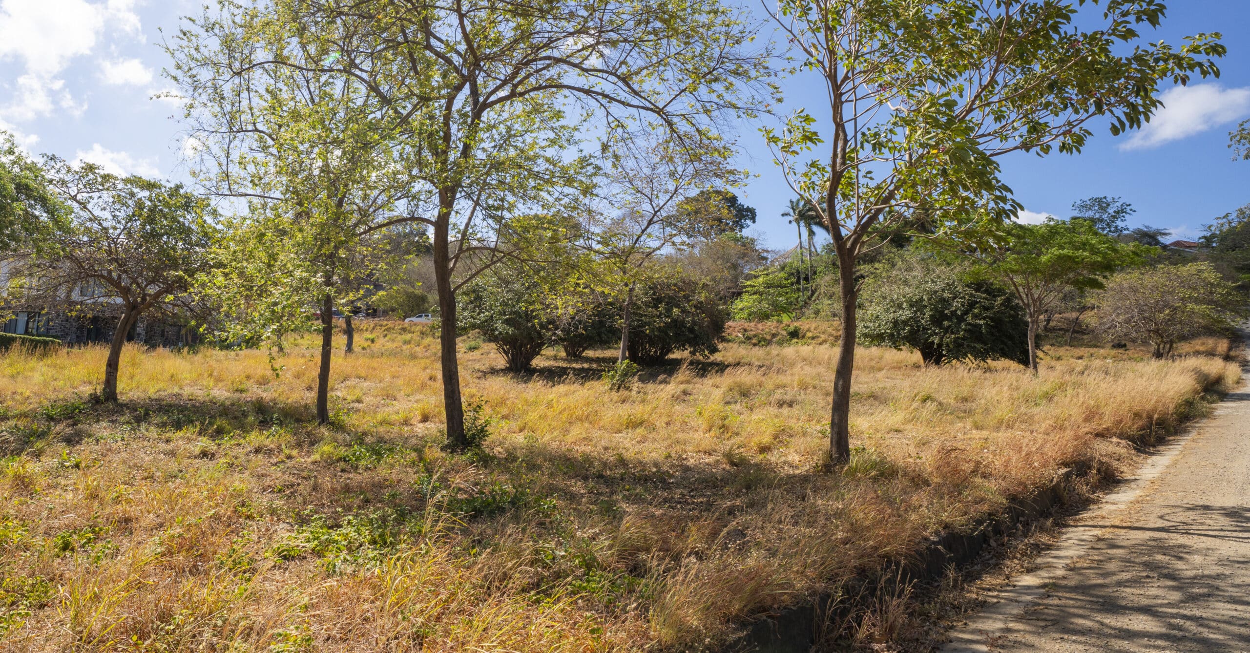 http://A%20sunny%20rural%20scene%20with%20scattered%20trees%20and%20dry%20grass%20covering%20an%20open%20field,%20bordered%20by%20a%20dirt%20road%20on%20the%20right%20near%20Lot%20F8%20and%20Lot%20F9,%20with%20more%20trees%20in%20the%20background%20under%20a%20blue%20sky%20with%20a%20few%20clouds.