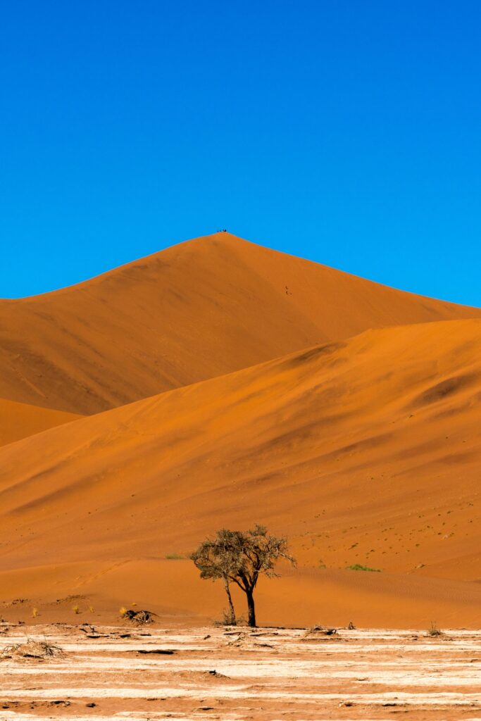 A lone tree stands on dry, cracked ground with large orange sand dunes and a clear blue sky in the background, showcasing one of the world's striking under-the-radar travel destinations.