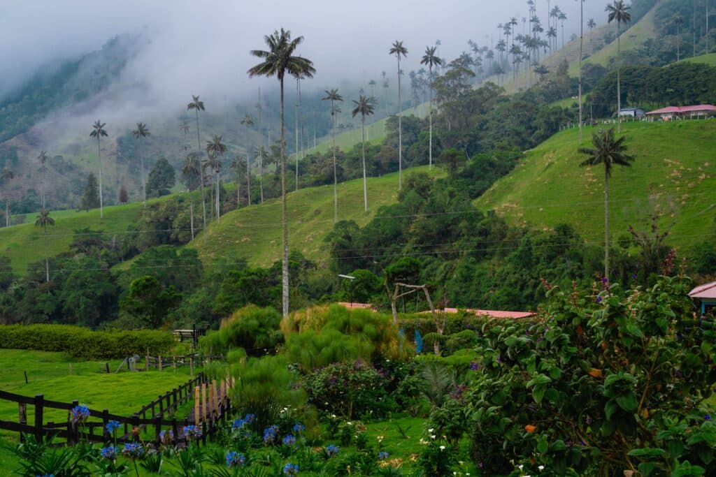 Lush green hills with tall, slender palm trees rise into misty clouds, while a garden with colorful flowers and a wooden fence sits in the foreground—an idyllic scene among under-the-radar destinations. Scattered buildings are visible on the slopes.