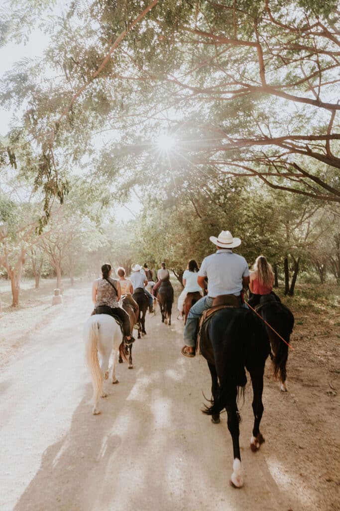 A group of people ride horses along a sunlit dirt path surrounded by trees, with sunlight streaming through the branches and creating a peaceful, natural atmosphere.