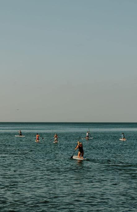 Enjoy group experiences as people paddleboard on calm, blue water under a clear sky with a distant horizon. The peaceful scene features paddleboarders spread out across the spacious waters, embracing the tranquility together.