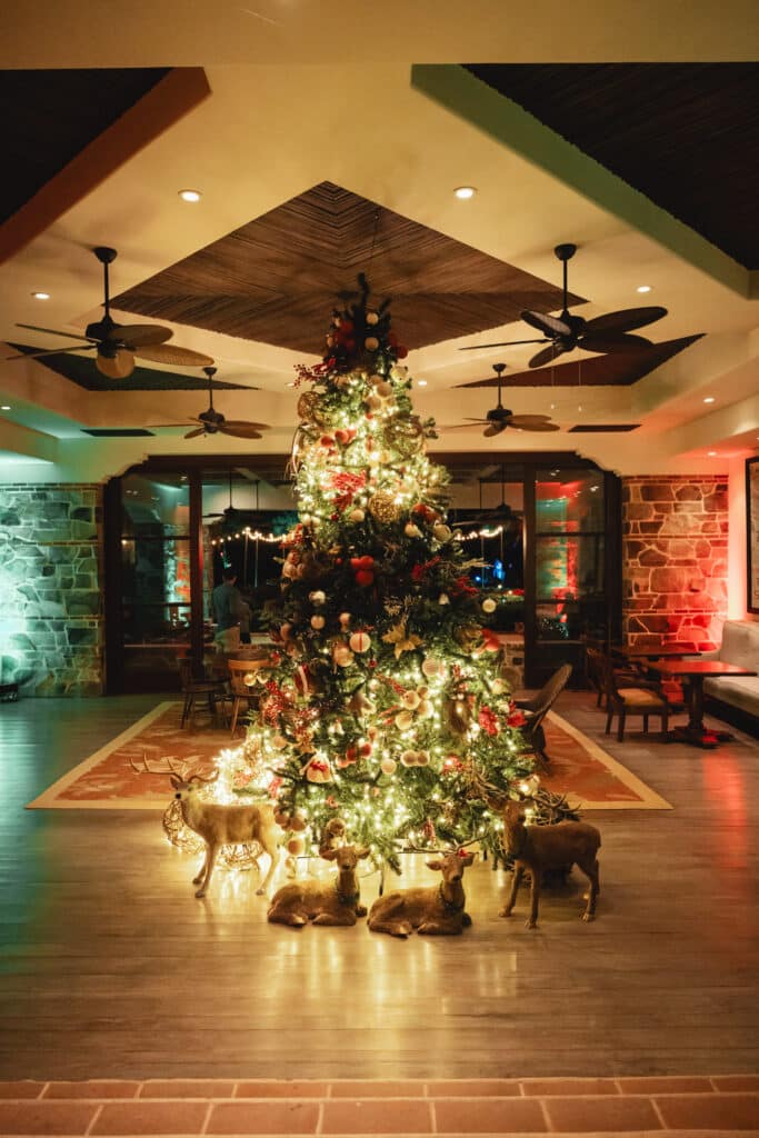 A large Christmas tree decorated with holiday lights and ornaments stands in the center of a cozy, warmly lit room. Four decorative reindeer figures are arranged at the tree’s base, capturing the festive spirit—reserve early to ensure your own joyful celebration.